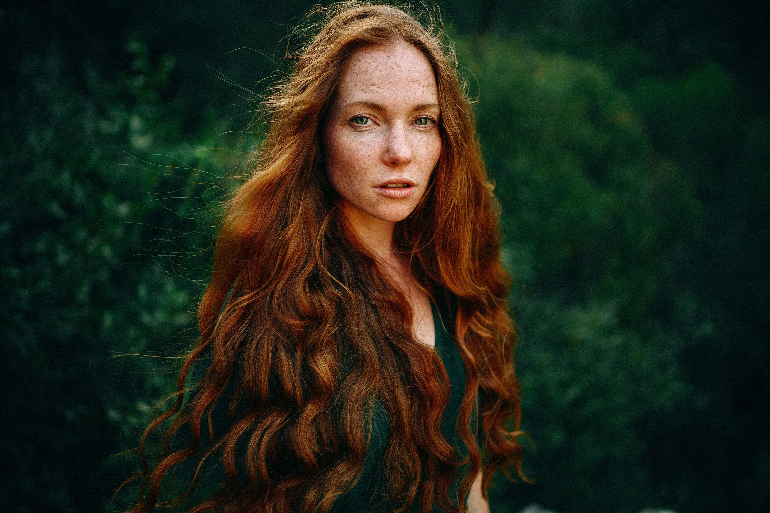 Курс по Фотографии