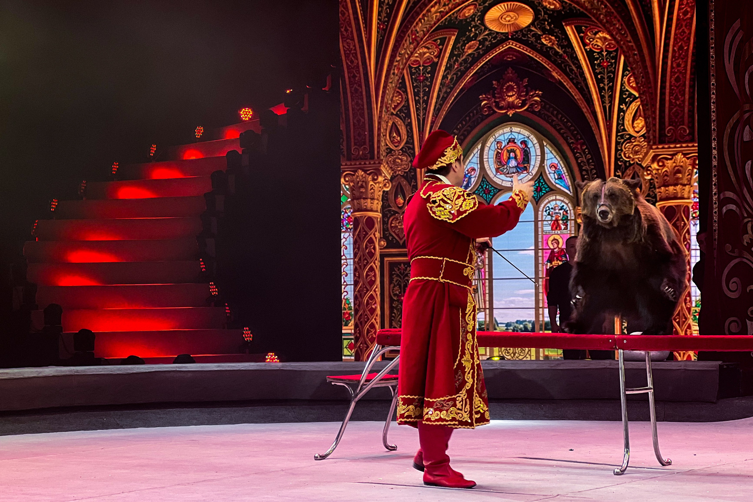 Цирк Братьев Запашных. Фотограф и видеограф Евгений Романов Санкт-Петербург