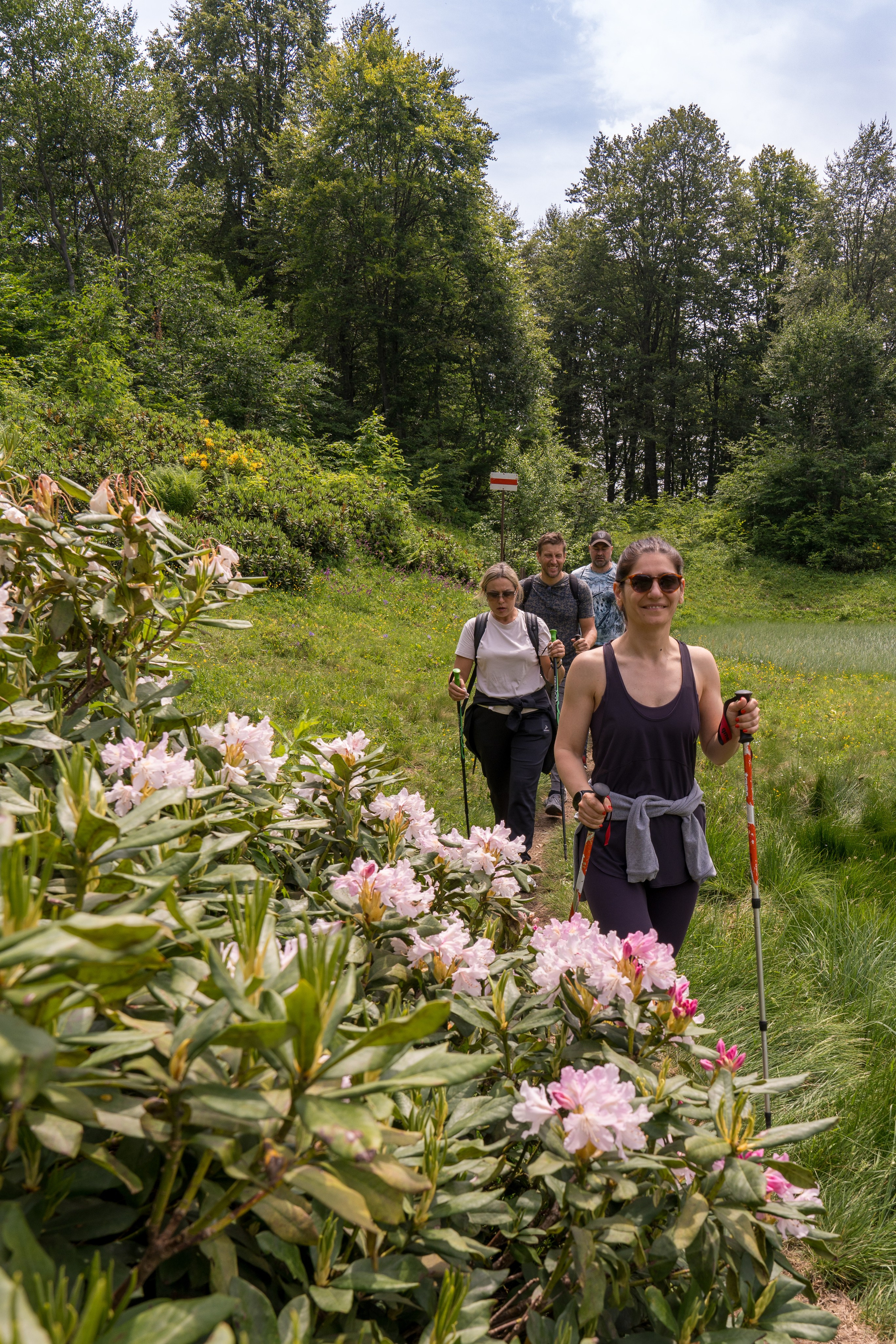 MICE мероприятие для компании «Доставка морем»: хайкинг к Ачипсинским водопадам. Репортажный фотограф в Красной Поляне и Сочи Павлюченко Екатерина