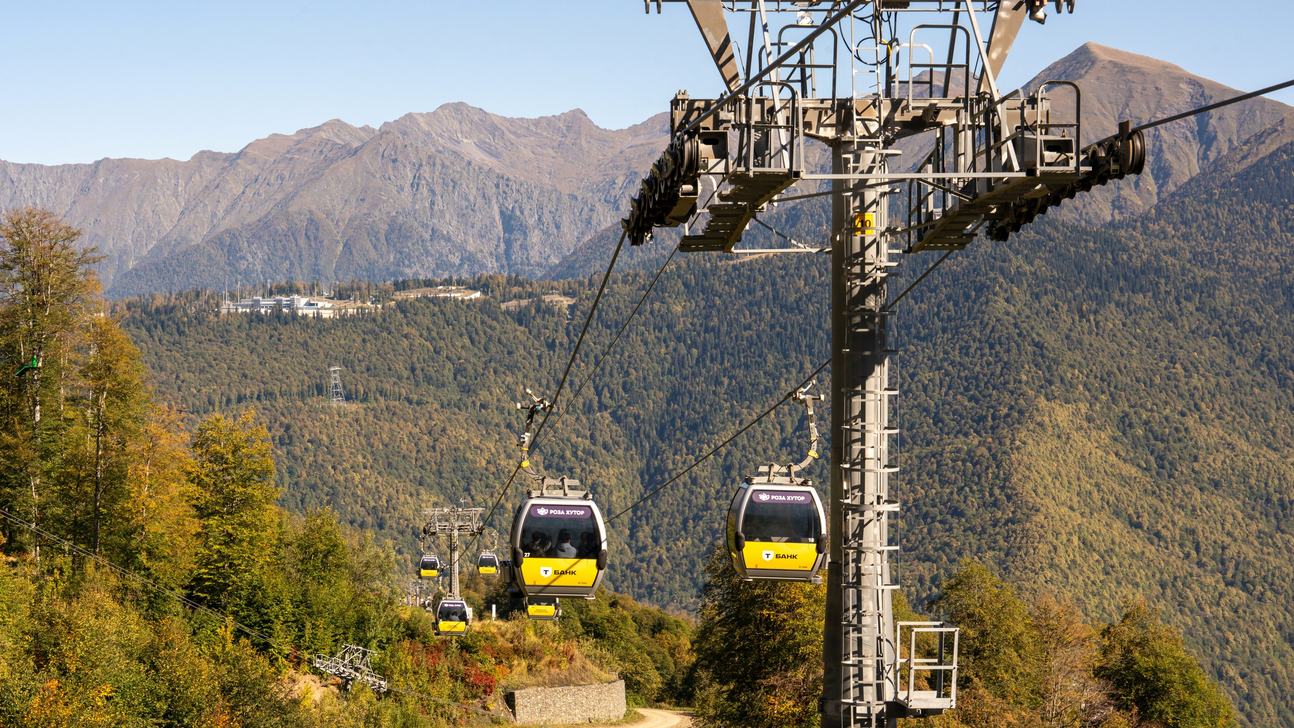 ChinaRosaFest 2024. Репортажный фотограф в Красной Поляне и Сочи Павлюченко Екатерина