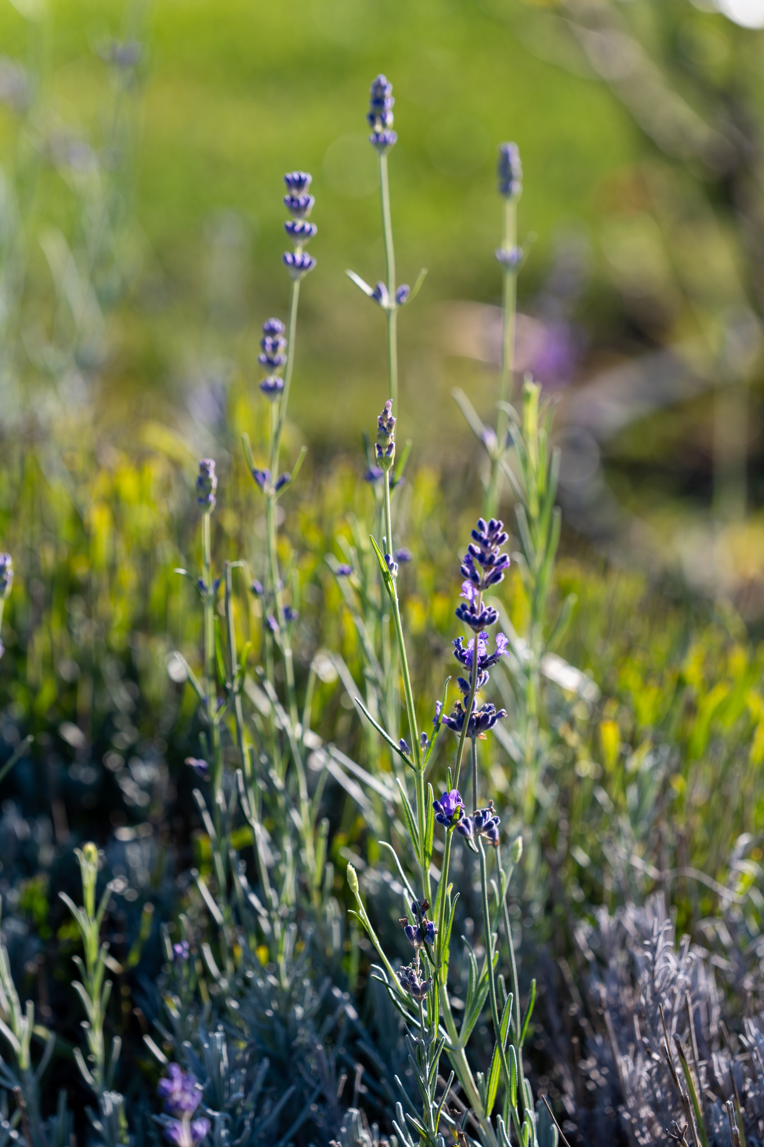 Литературная мастерская с Ольгой Шутовой в «Винотеррии». Репортажный фотограф в Красной Поляне и Сочи Павлюченко Екатерина