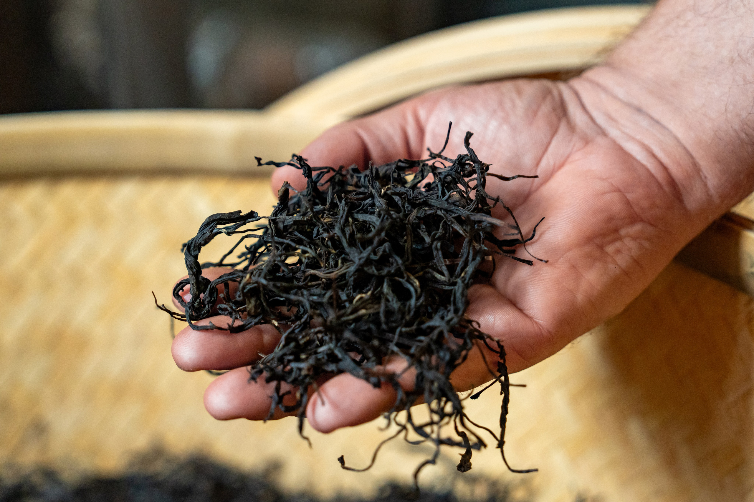 Яндекс.Еда — Сочинский чай. Репортажный фотограф в Красной Поляне и Сочи Павлюченко Екатерина