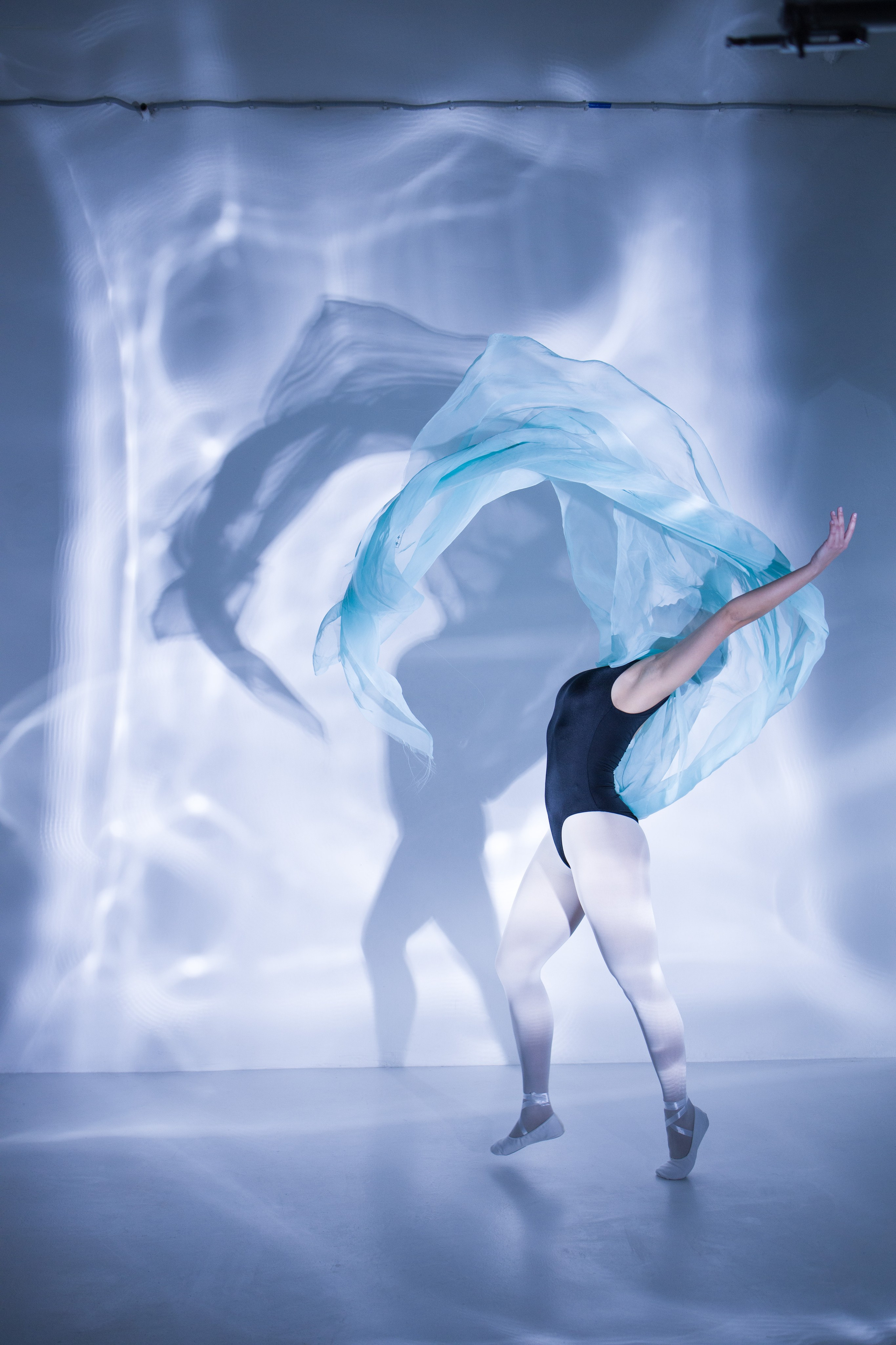 Лилия. Художественная фотография