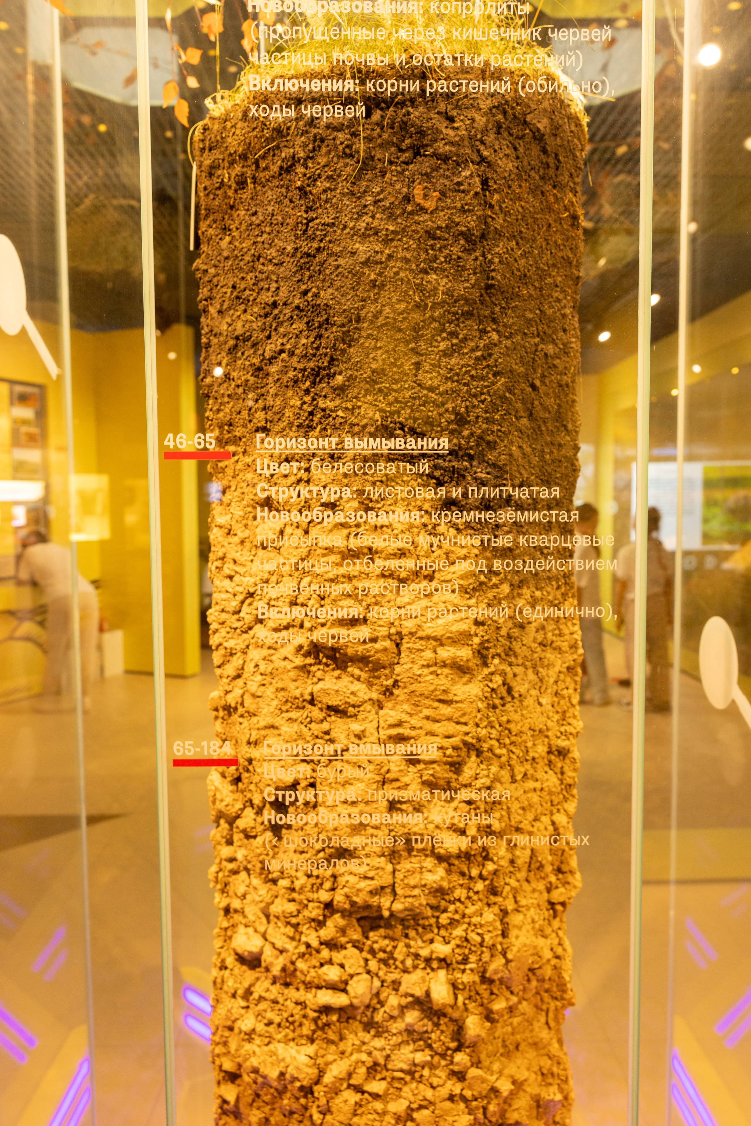 Поездка на поле Кулеково. Фотограф в Туле Крупский АнДРей. Фотостудия «КАДР71» в Туле