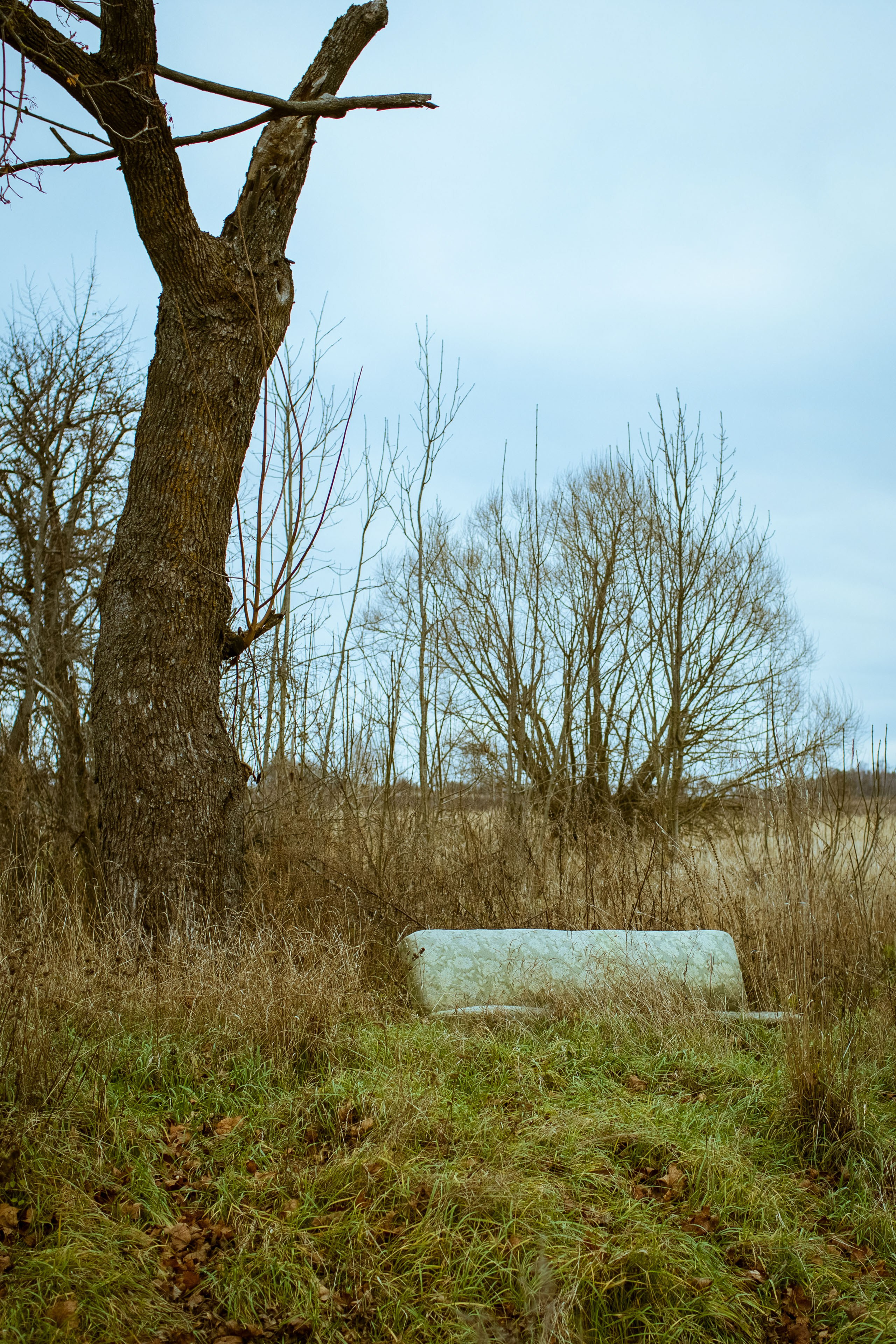 Новозыбков (осень 2021). Фотограф Виноградов Константин