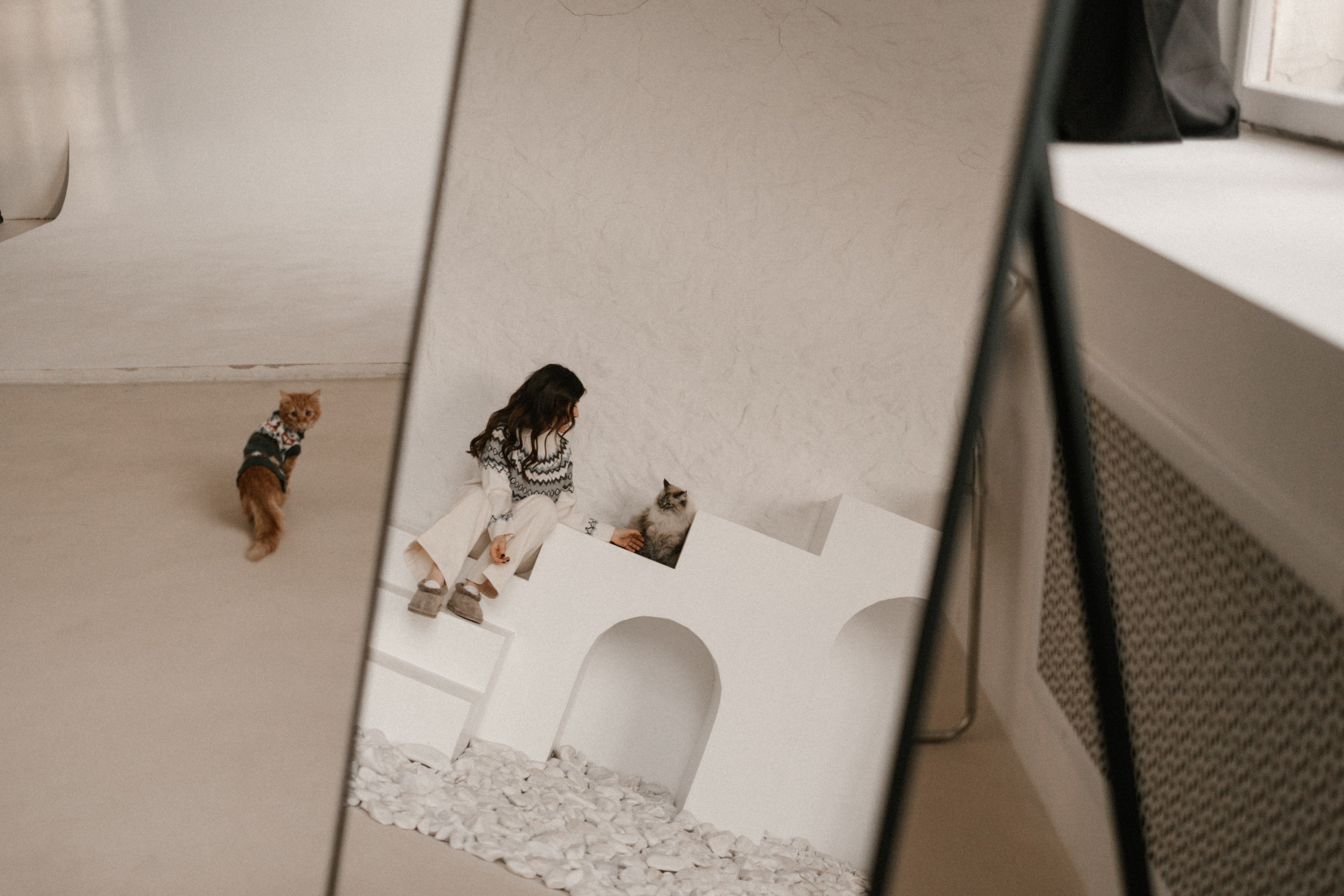 Камилла и ее девочки. Фотограф — Анималист | Санкт-Петербург