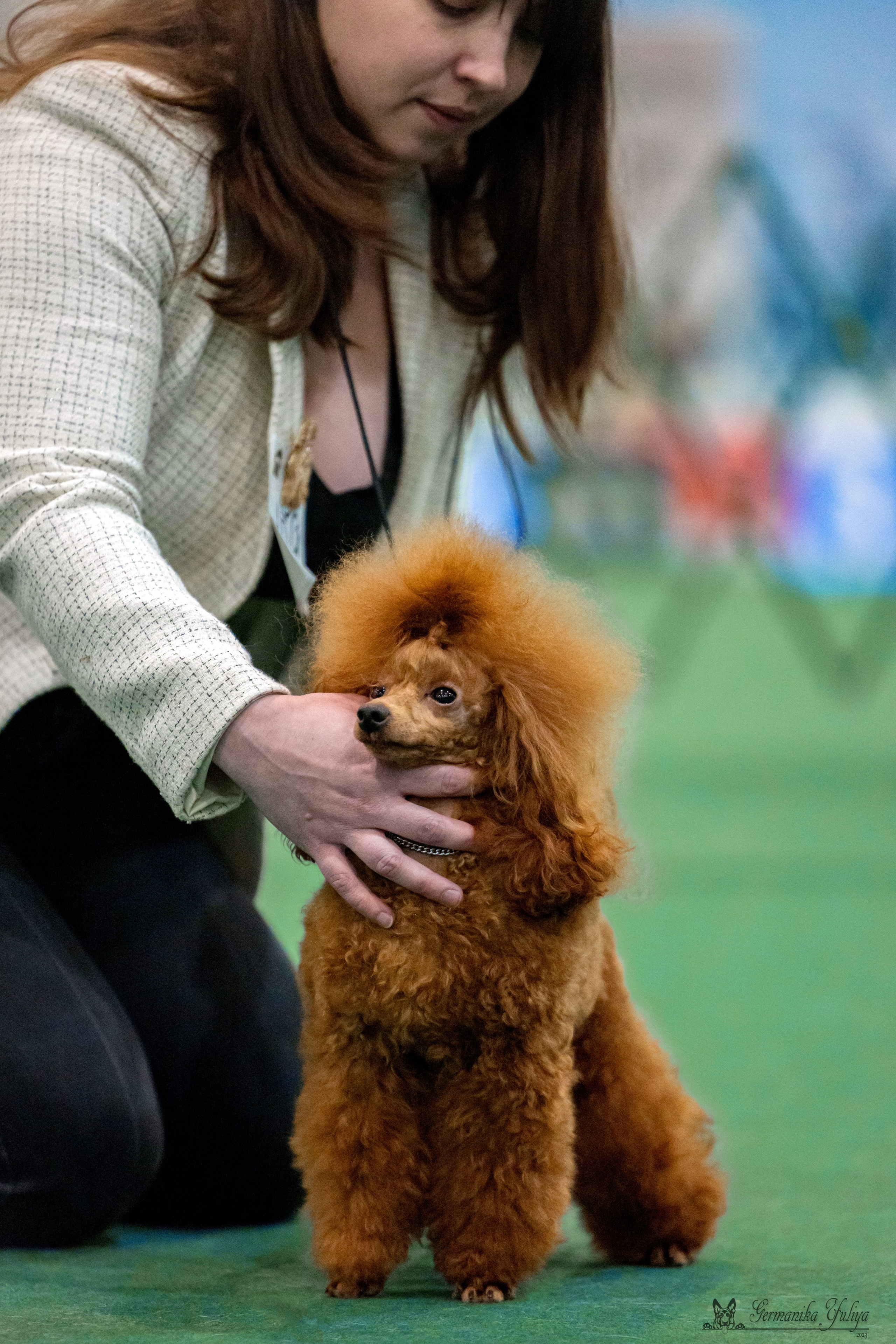 Крокус 3,9 и 10.12.2023. Фотограф-анималист Юлия Германика