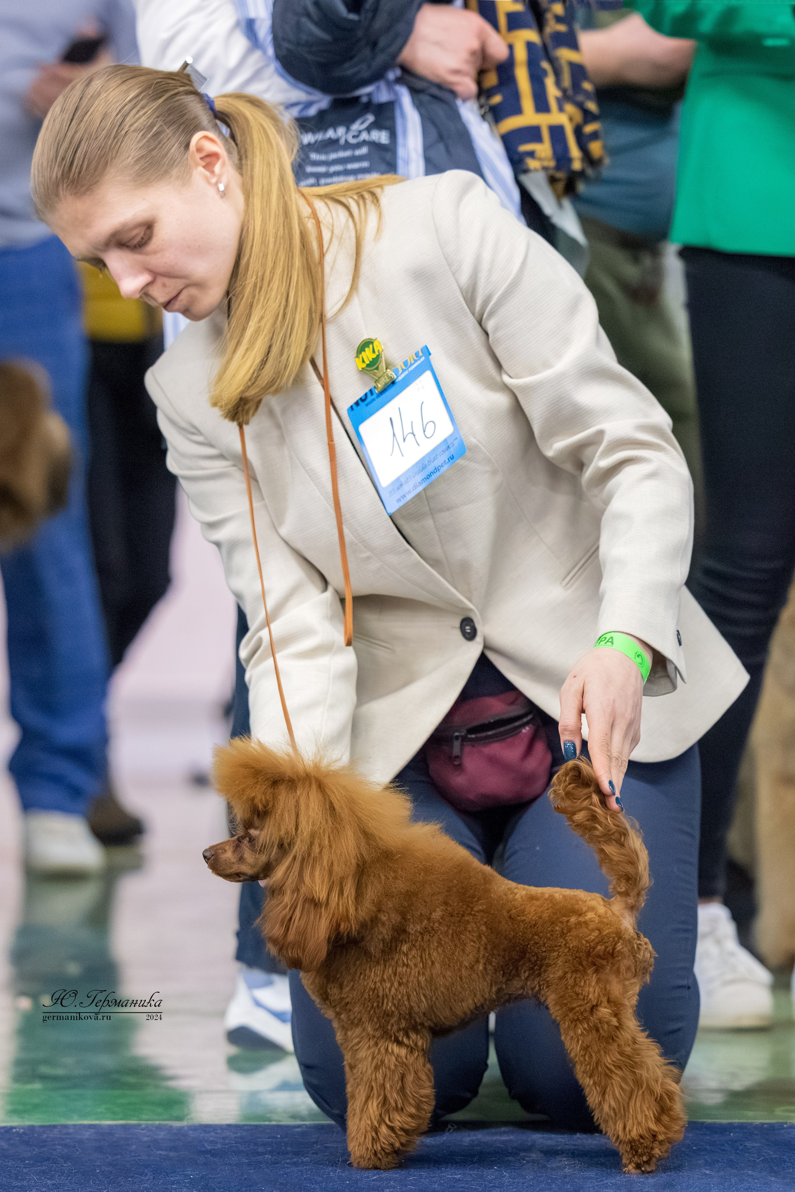 Сфера 17.03.2024. Фотограф-анималист Юлия Германика