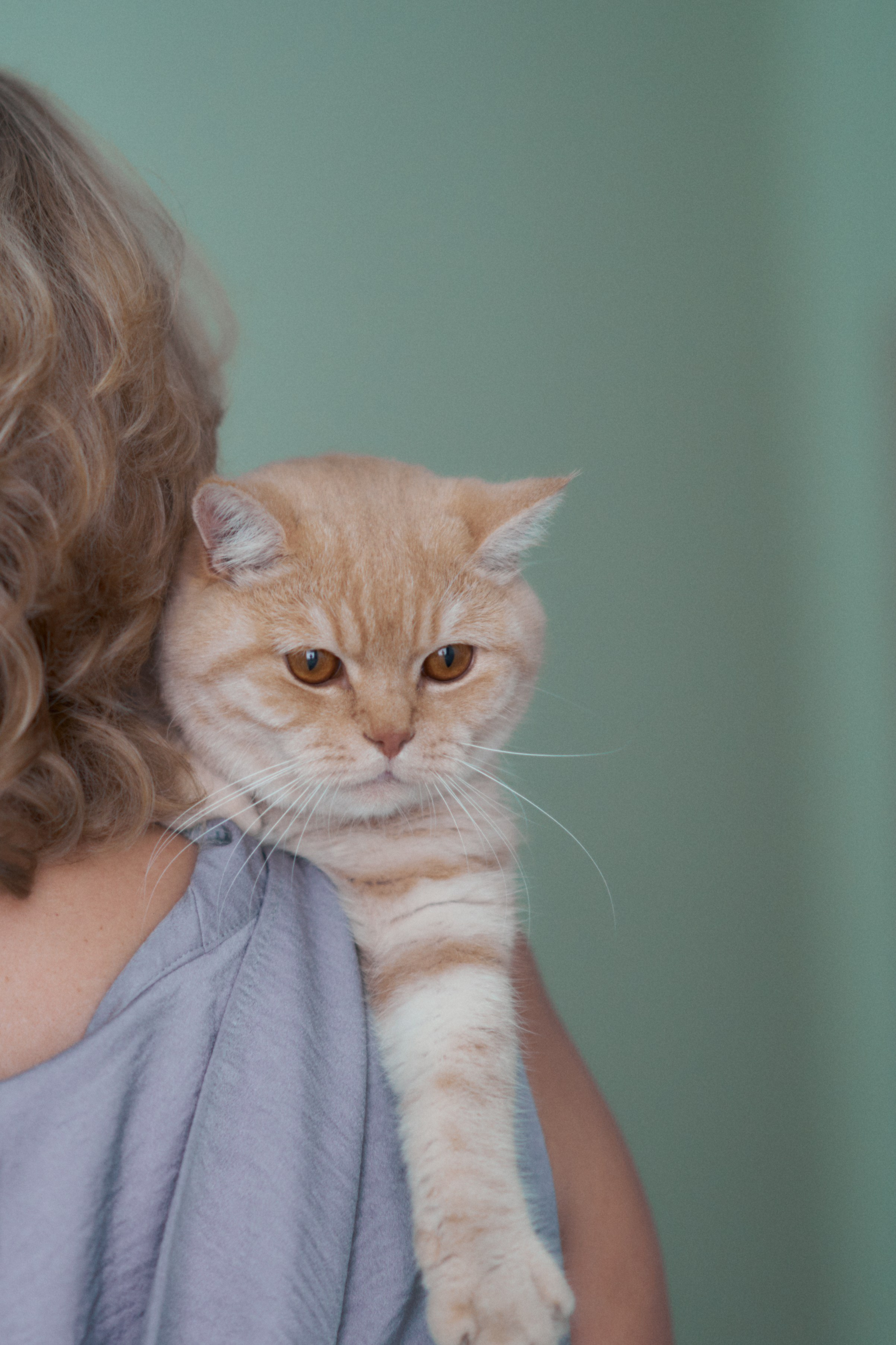 Фотосессия кота. Мужская фотосессия в СПб|Ирина Курманаева