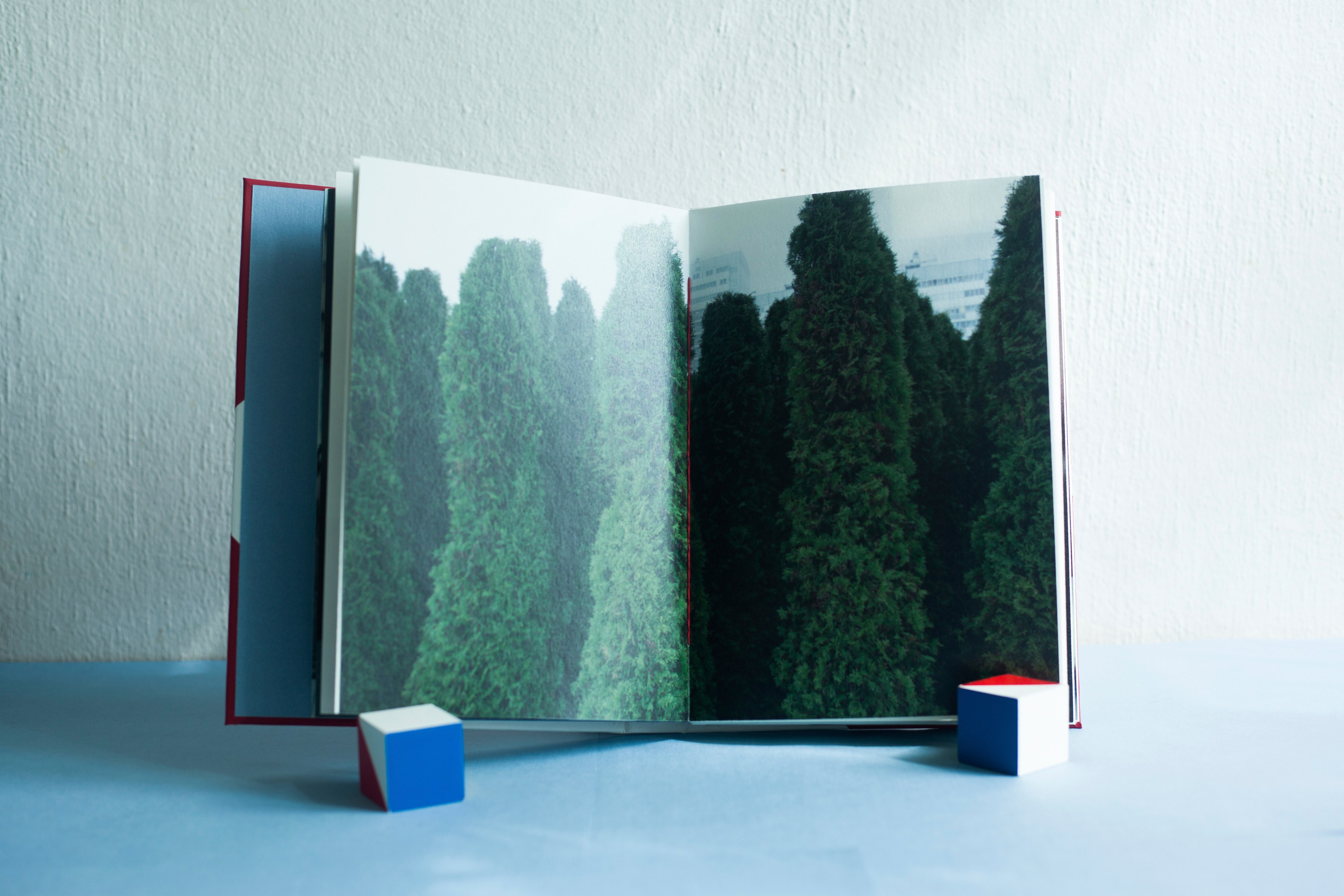A book about the project. Aleksandra Mikhailova multimedia artist