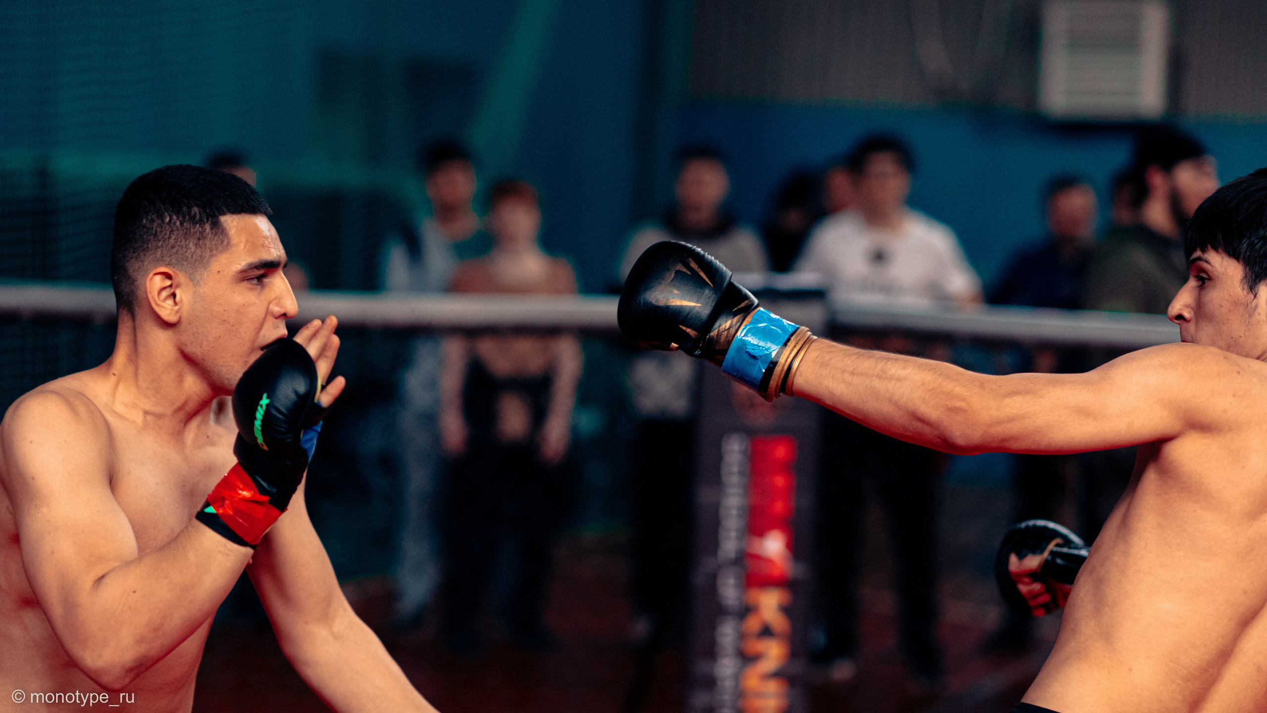 MMA. Бойцовский турнир