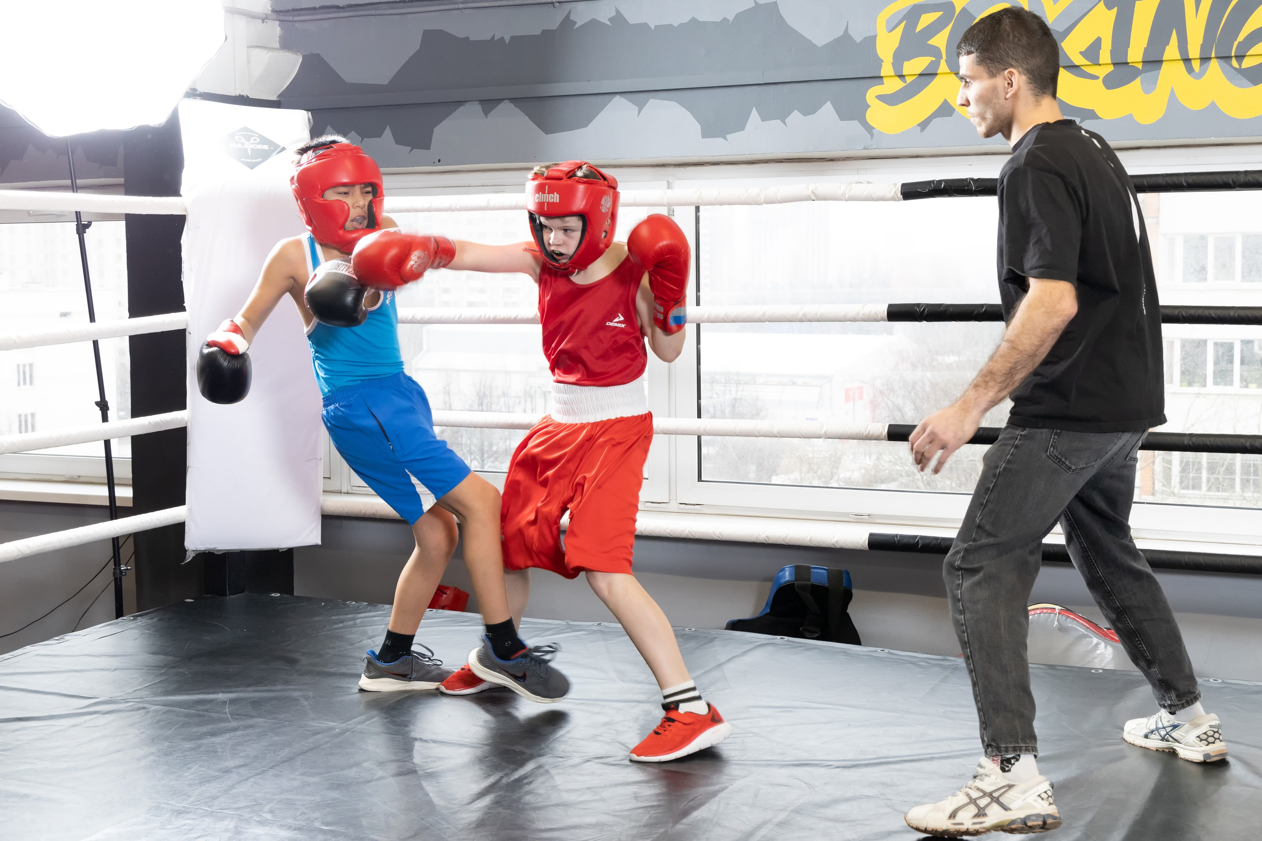 Бокс. Photomantis