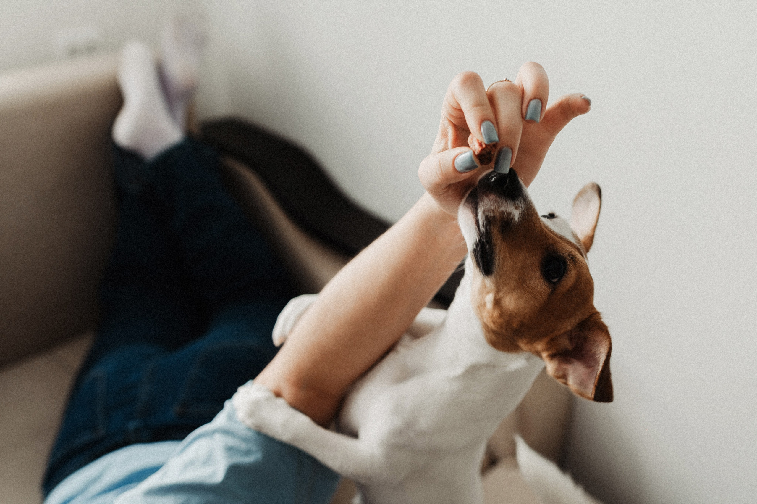 Яна и Лёша. Свадебный и семейный фотограф в Самаре Надежда Раскина