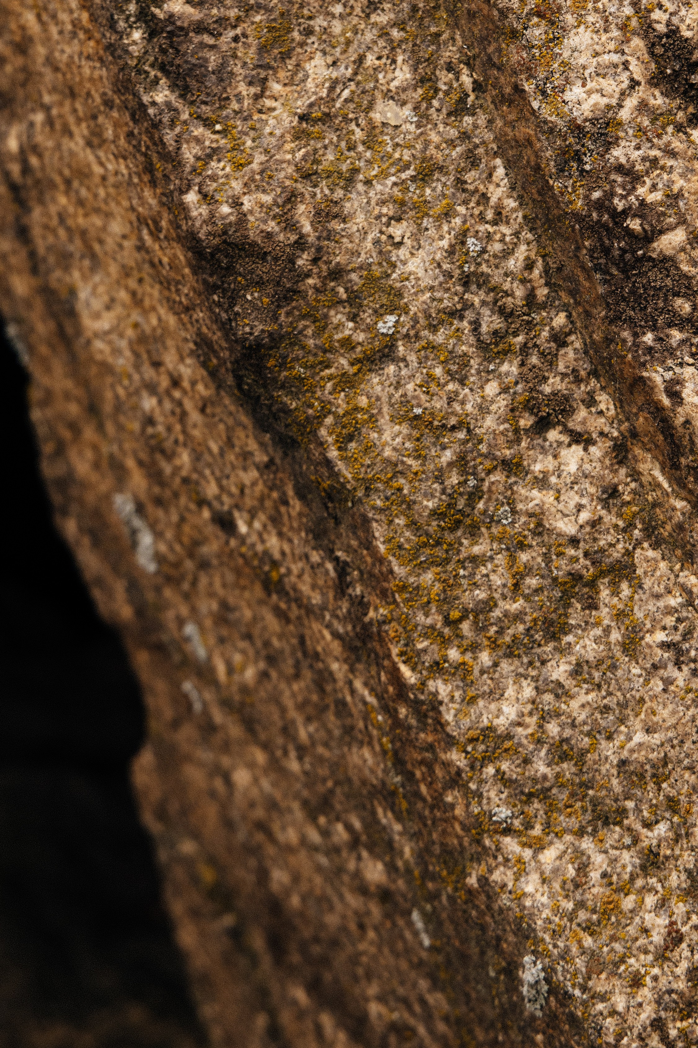 LoveStory|Егор и Татьяна. Свадебный фотограф Челябинск Зиненко Виктория