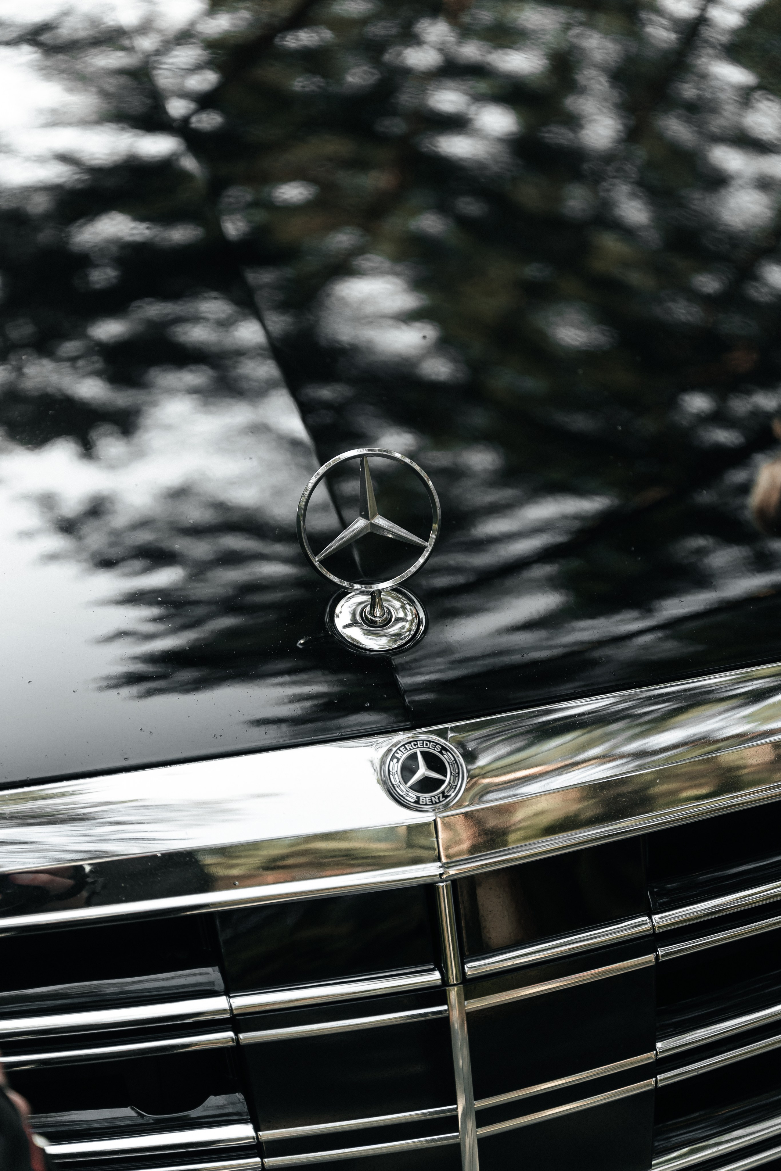 Толя и Тоня. Фотограф Екатерина Бочарникова