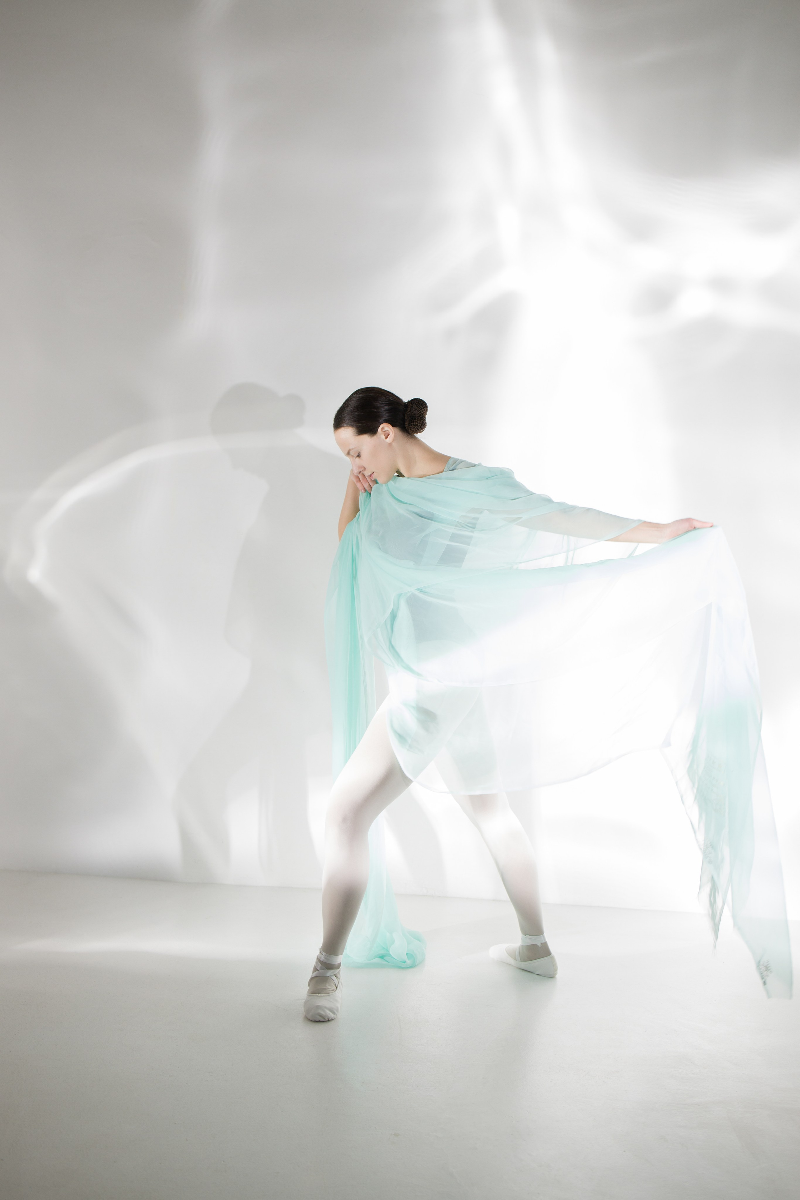 Лилия. Художественная фотография