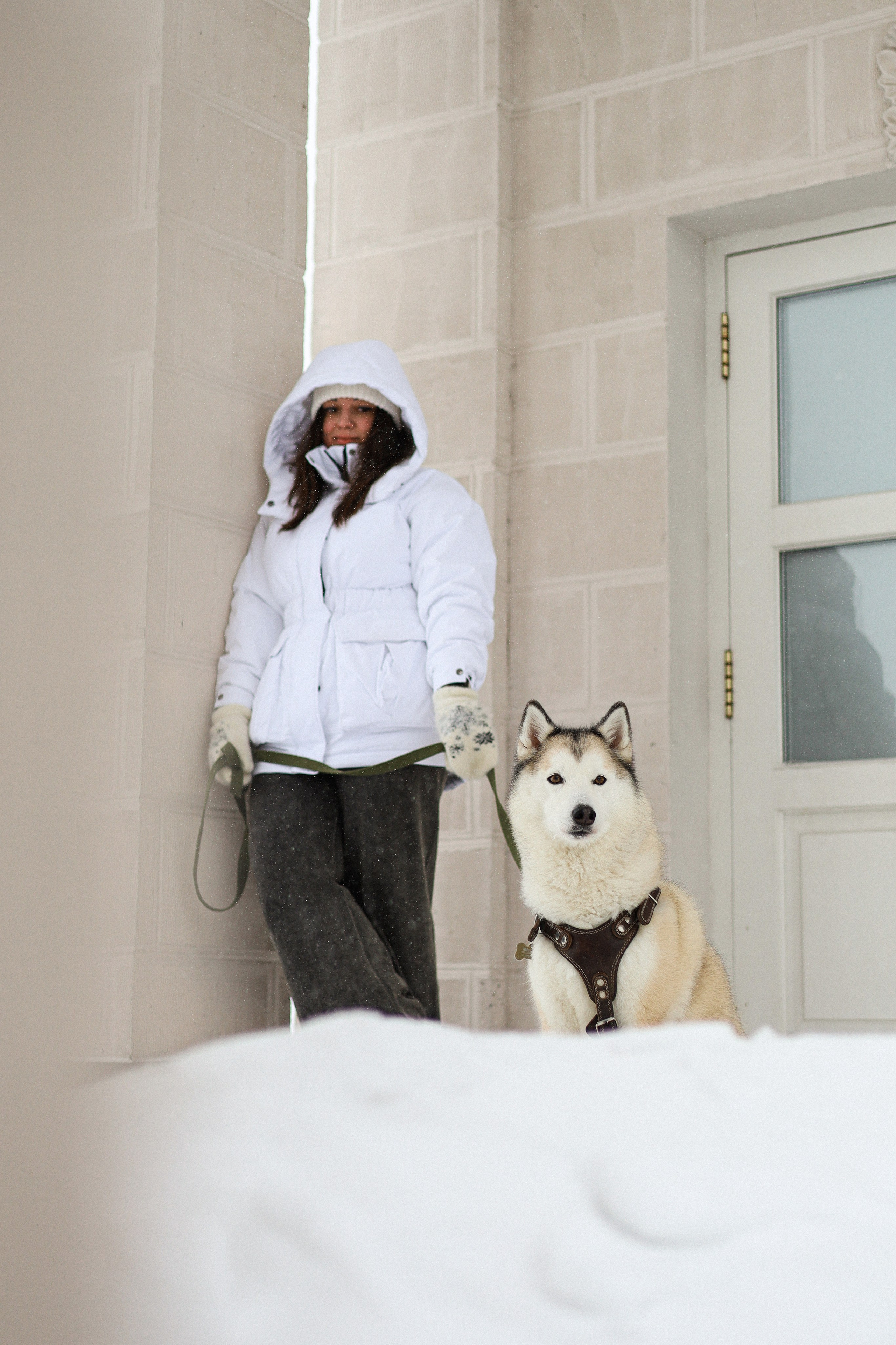 Мила, Лиза и Матвей. Фотограф-анималист Ксения Шевцова|Москва