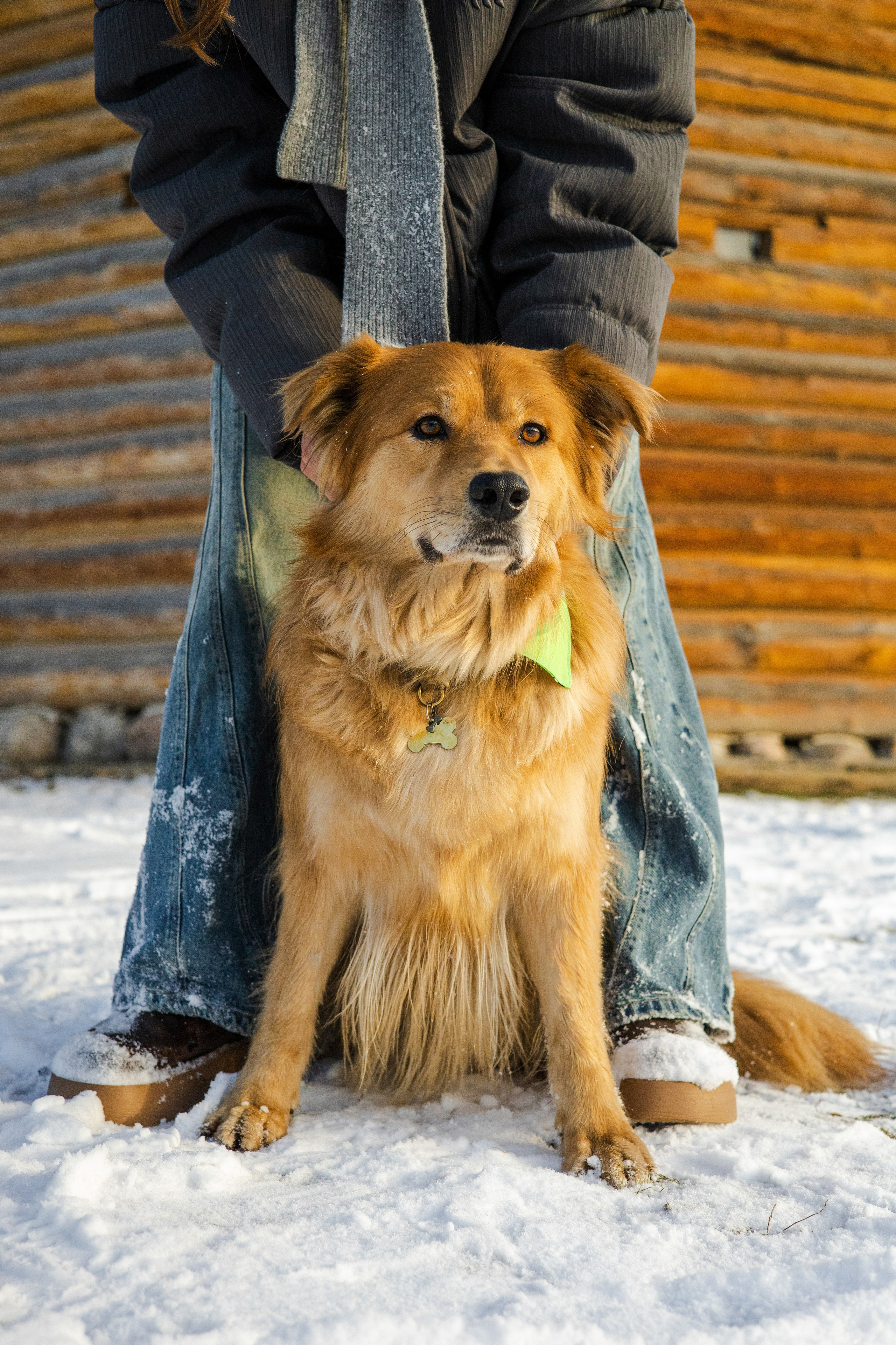 Рыж и Яна. Фотограф-анималист Ксения Шевцова|Москва