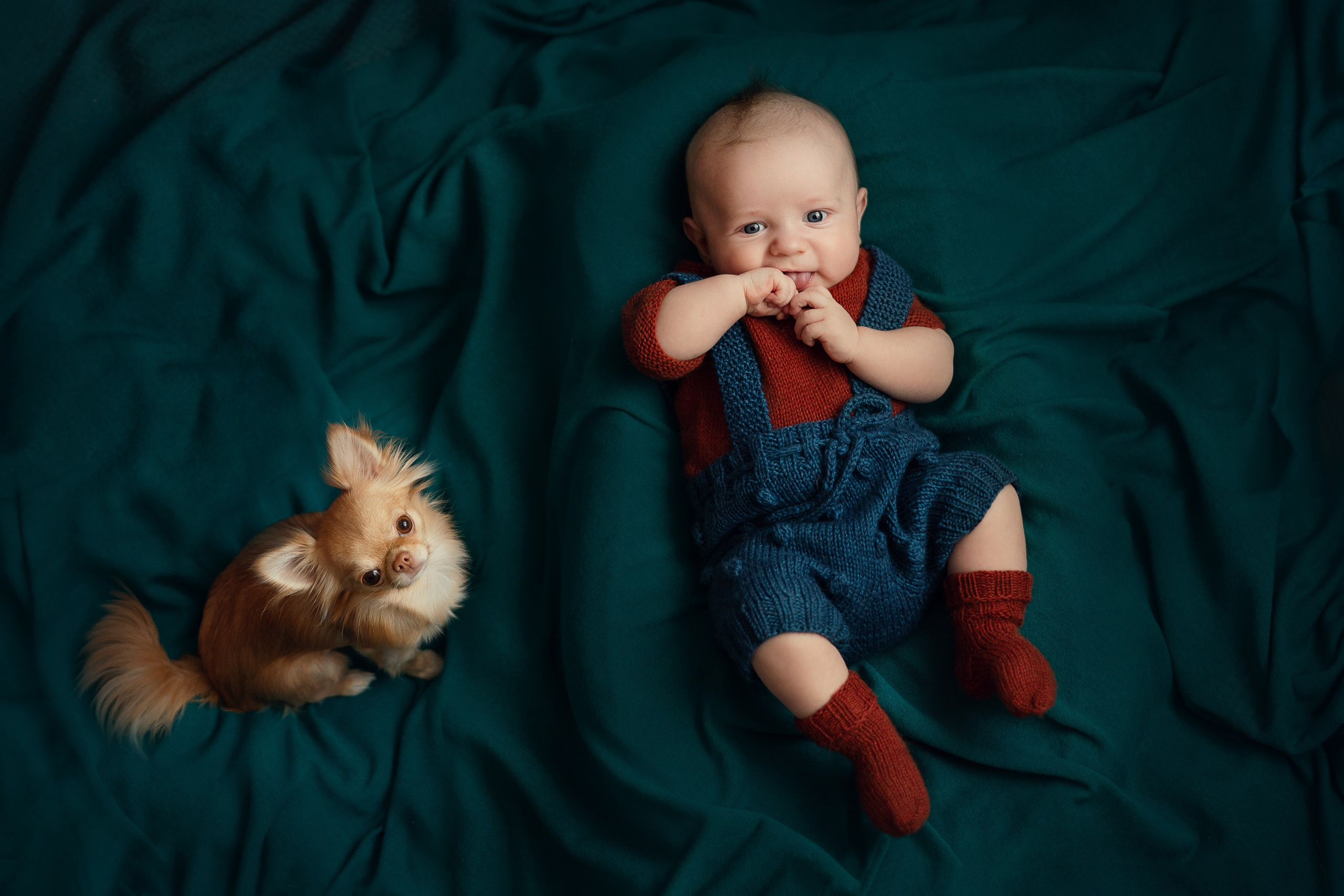 Портфолио. Детский, семейный и ньюборн фотограф в Москве Юлия Шуарт