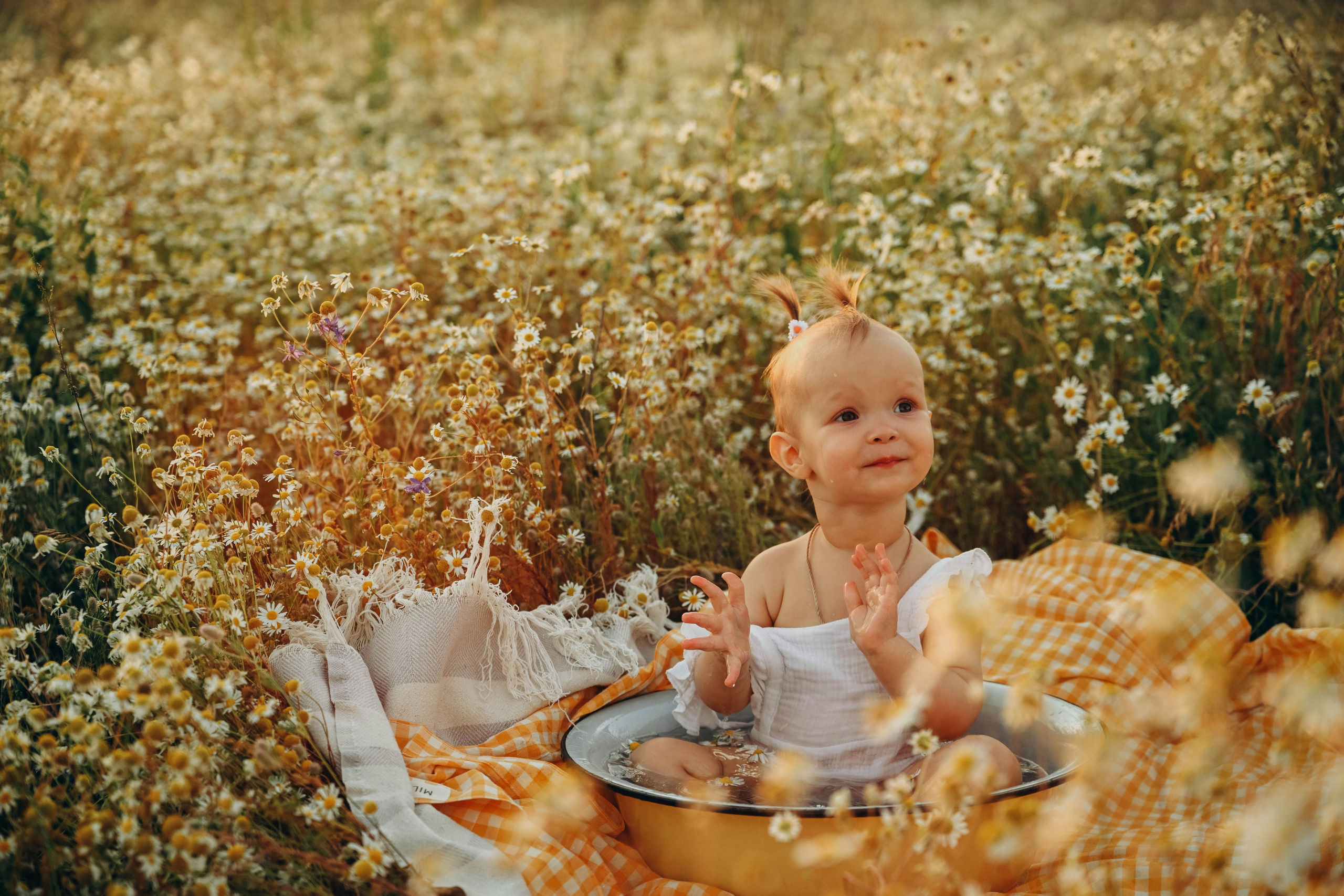 Ромашковое поле. Семейный фотограф в Москве Люберцах Ирина Вронская