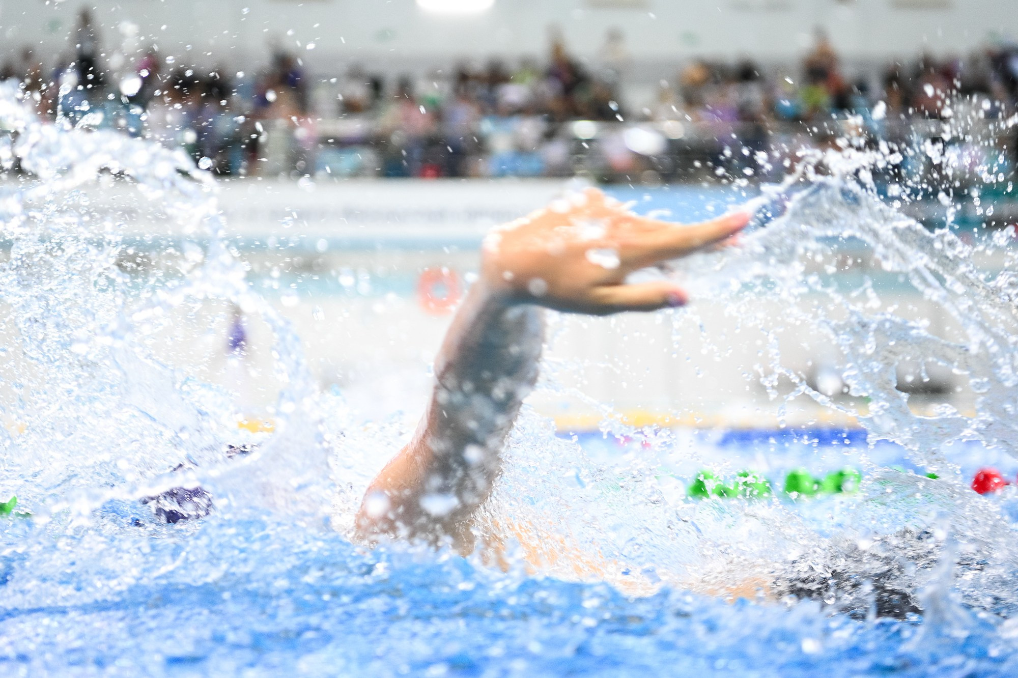 Плавание. Елена Дружинина. Спортивный и репортажный фотограф
