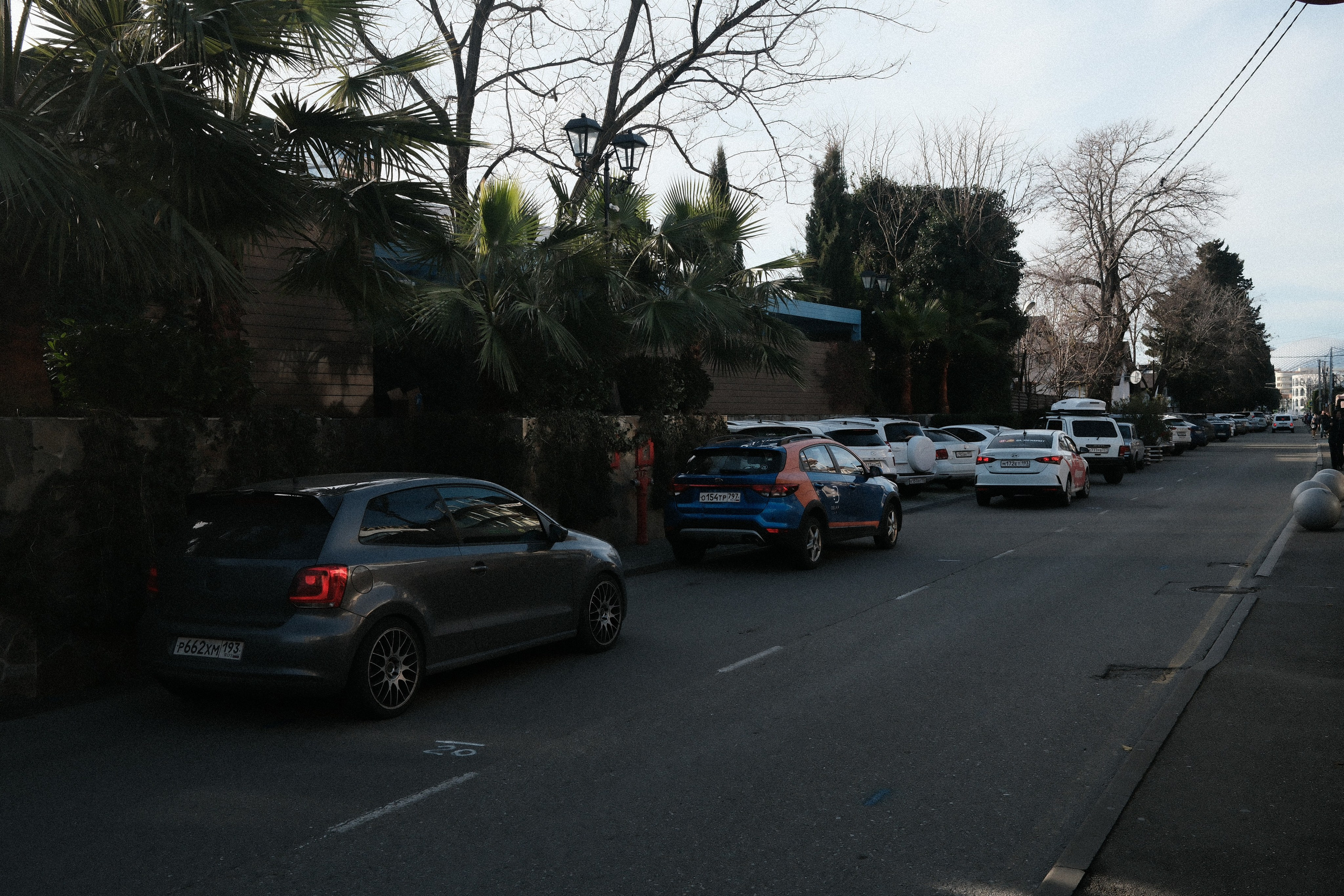 Фотографии зимнего Адлера. Алексей Торопов фотограф