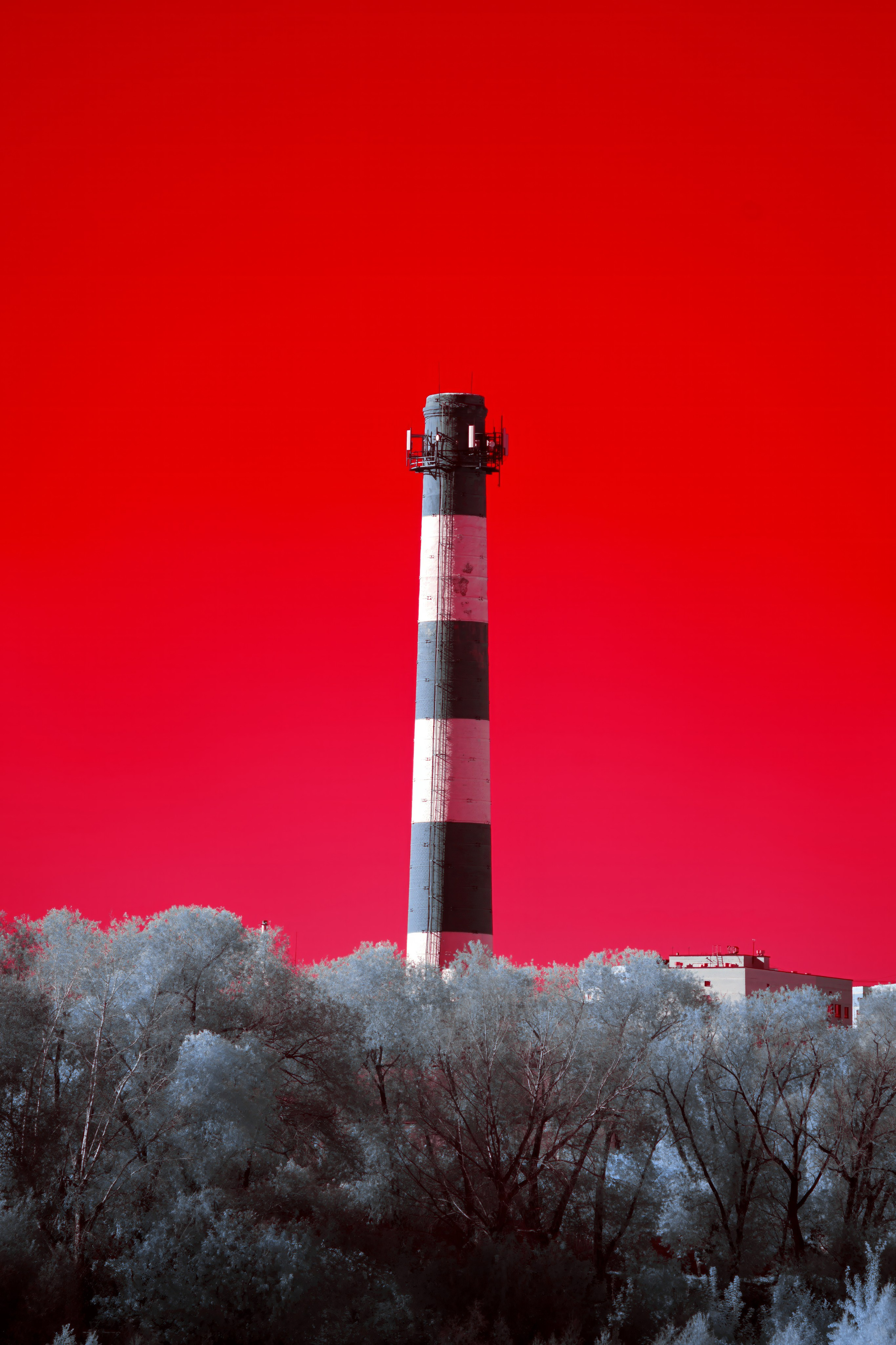 Color — Цветная