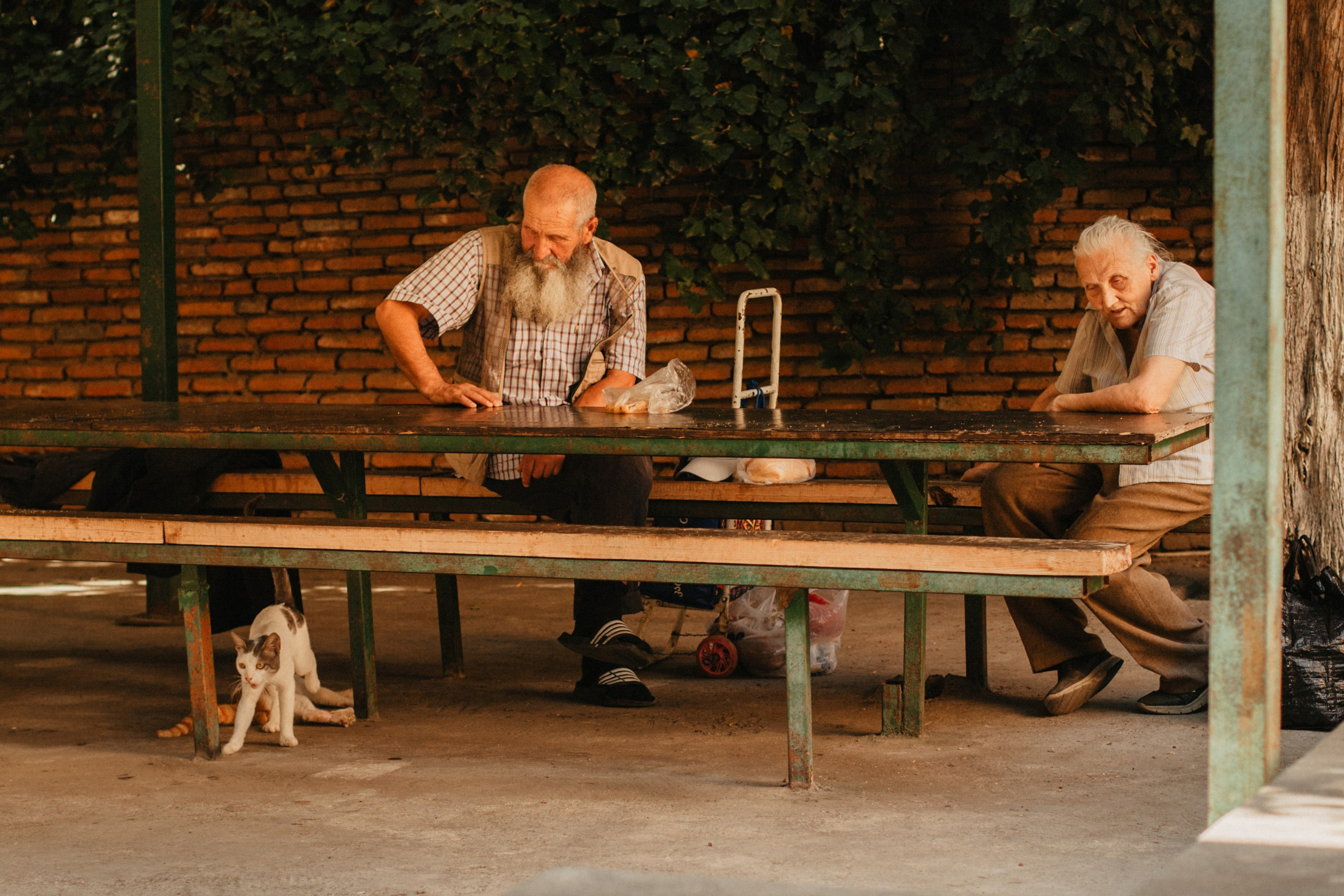 Грузинские каникулы. Violetta Skripka