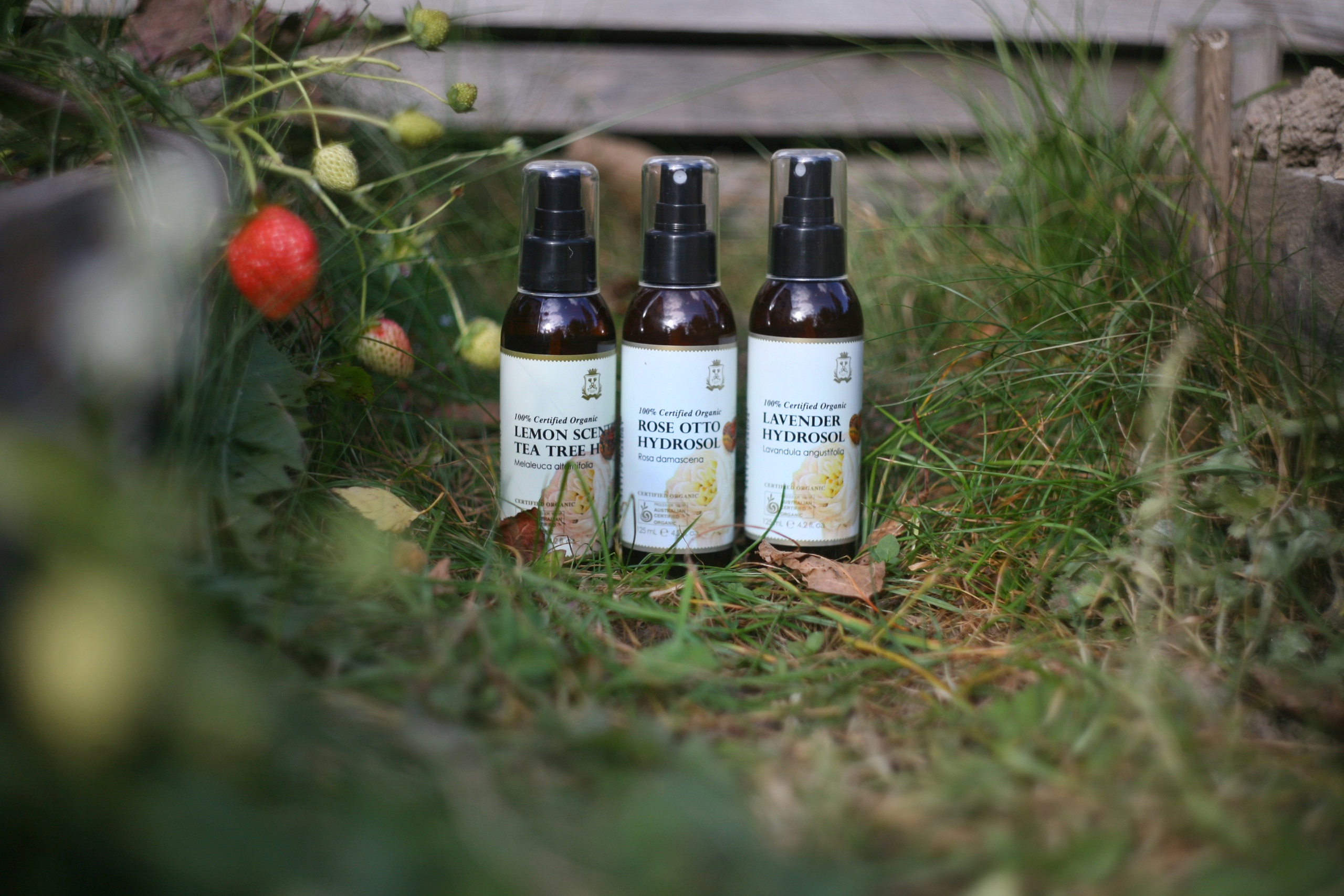 Предметная. Атмосферный фотограф Москва