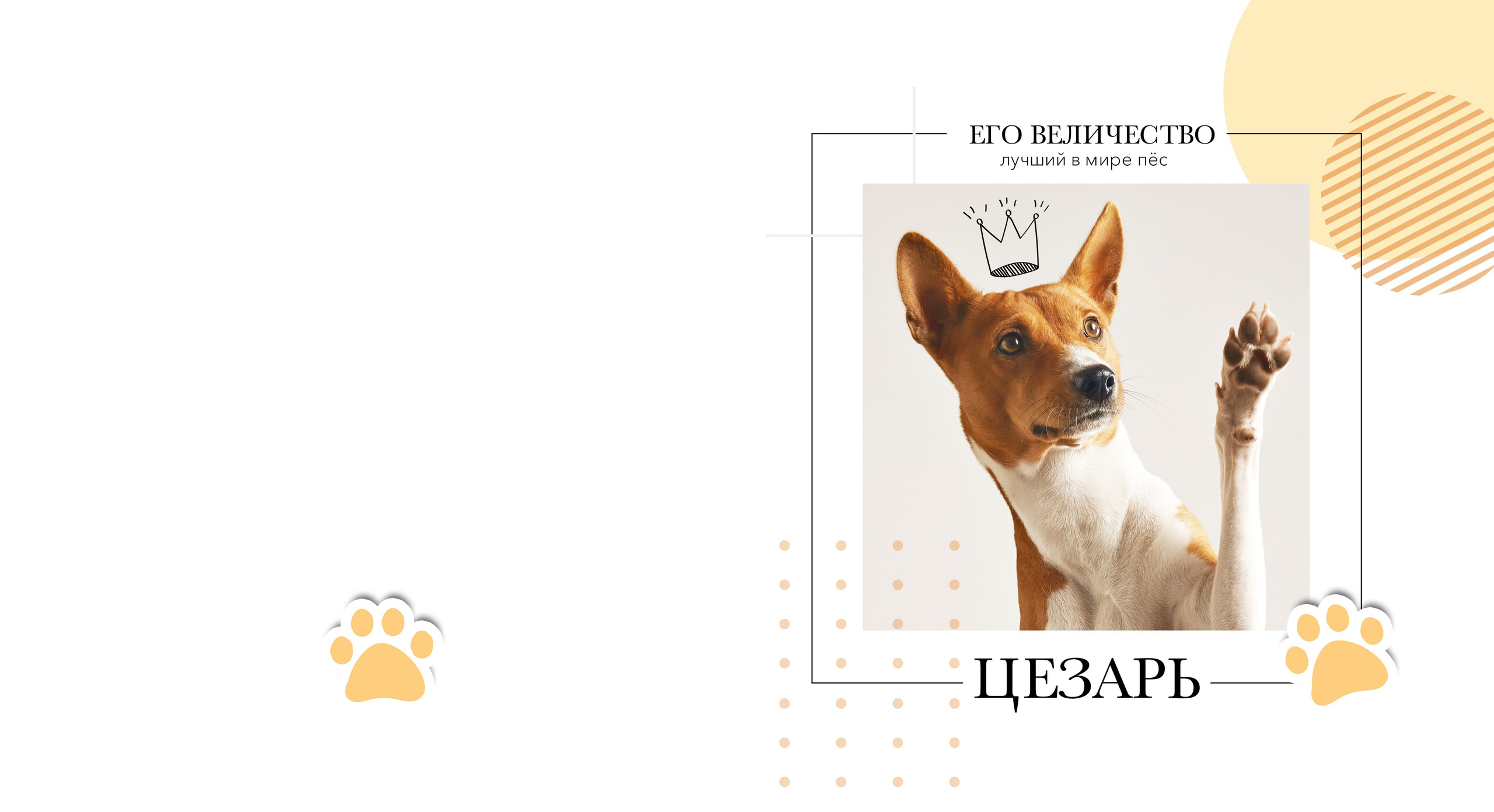 Семейные/ Детские/ Свадебные. Https://malovafoto.ru