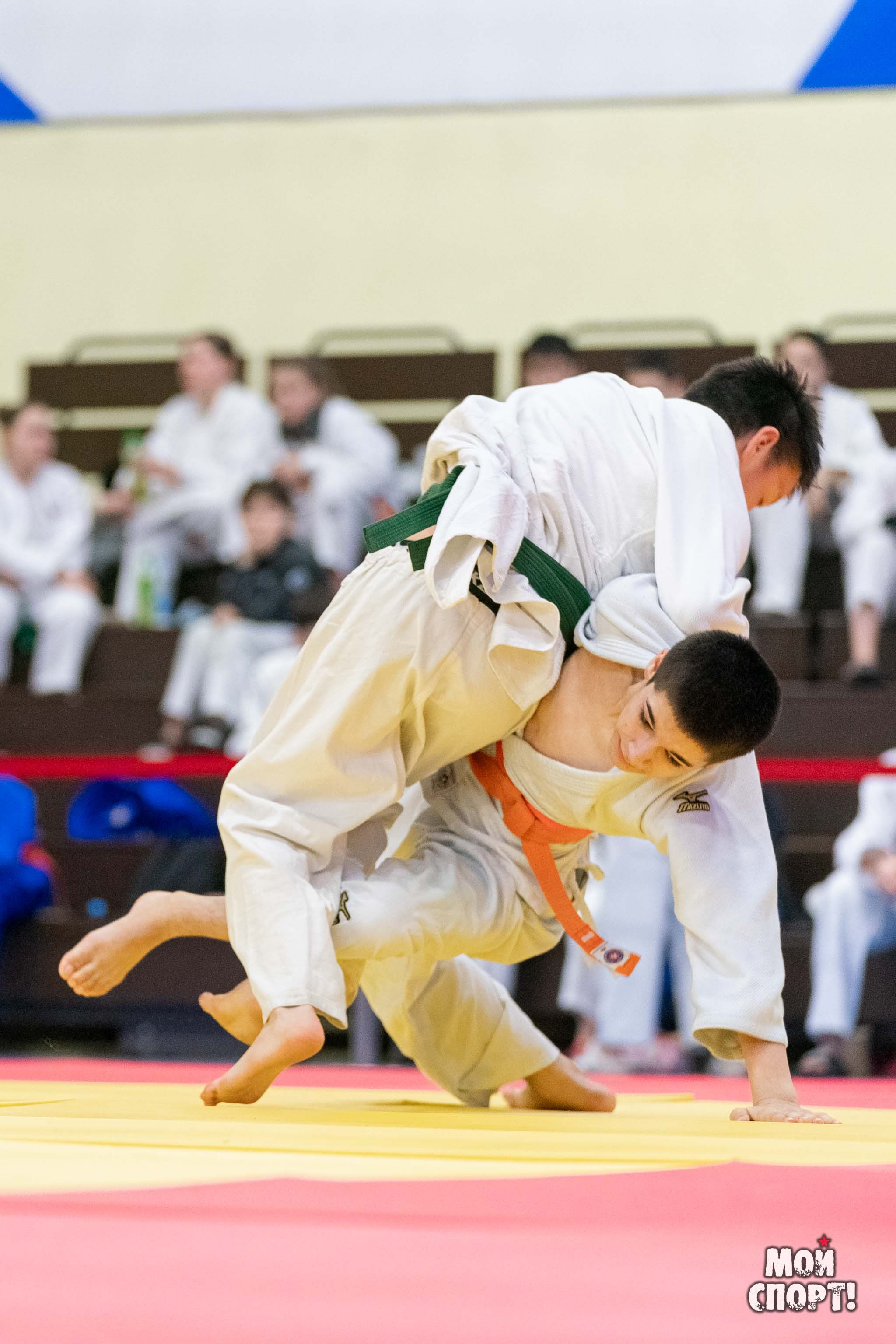 Межрегиональные соревнования по дзюдо «Лига патриотов — Якутск». Студия «Мой Спорт!» — все о спорте в Якутии