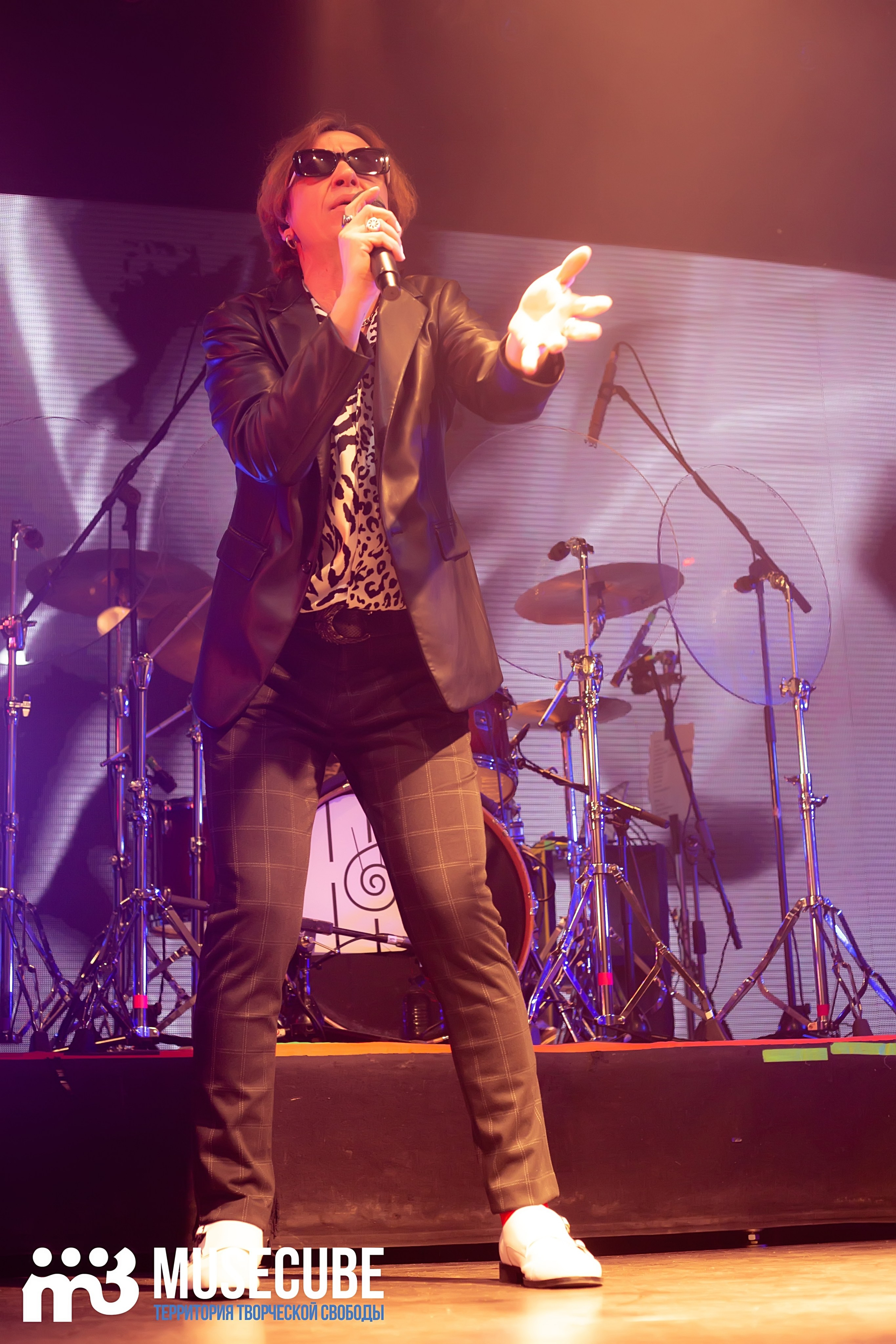 Фотосъемка концерта Найк Борзов Космонавт СПБ. Портретные фотосессии, контент-съемки, репортаж