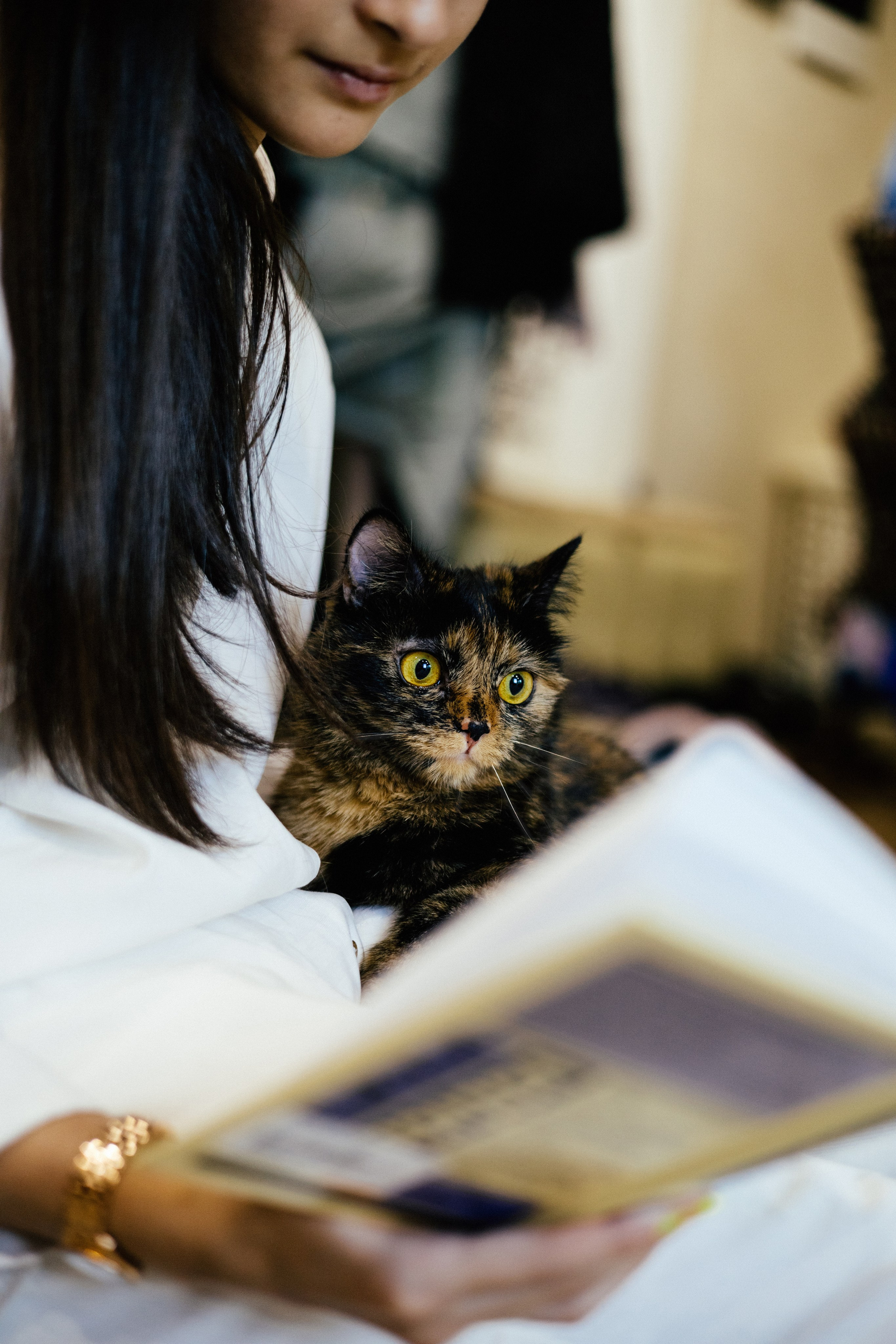 Вика и Буся. Фотограф — анималист Владивосток, Алина