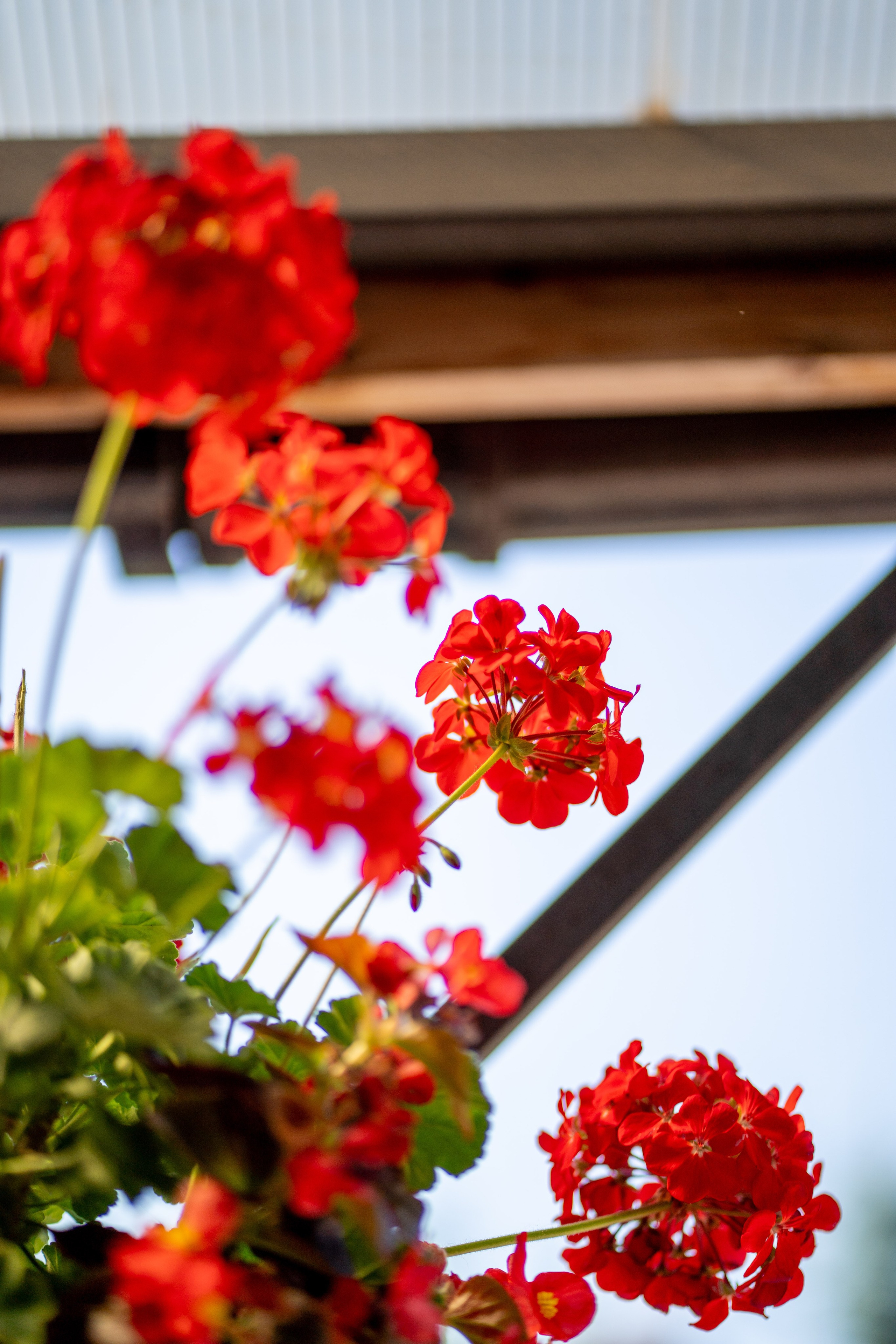 Съемка для патронажной службы. Фотограф и маркетолог Андрей Юрилин Саратов и Энгельс