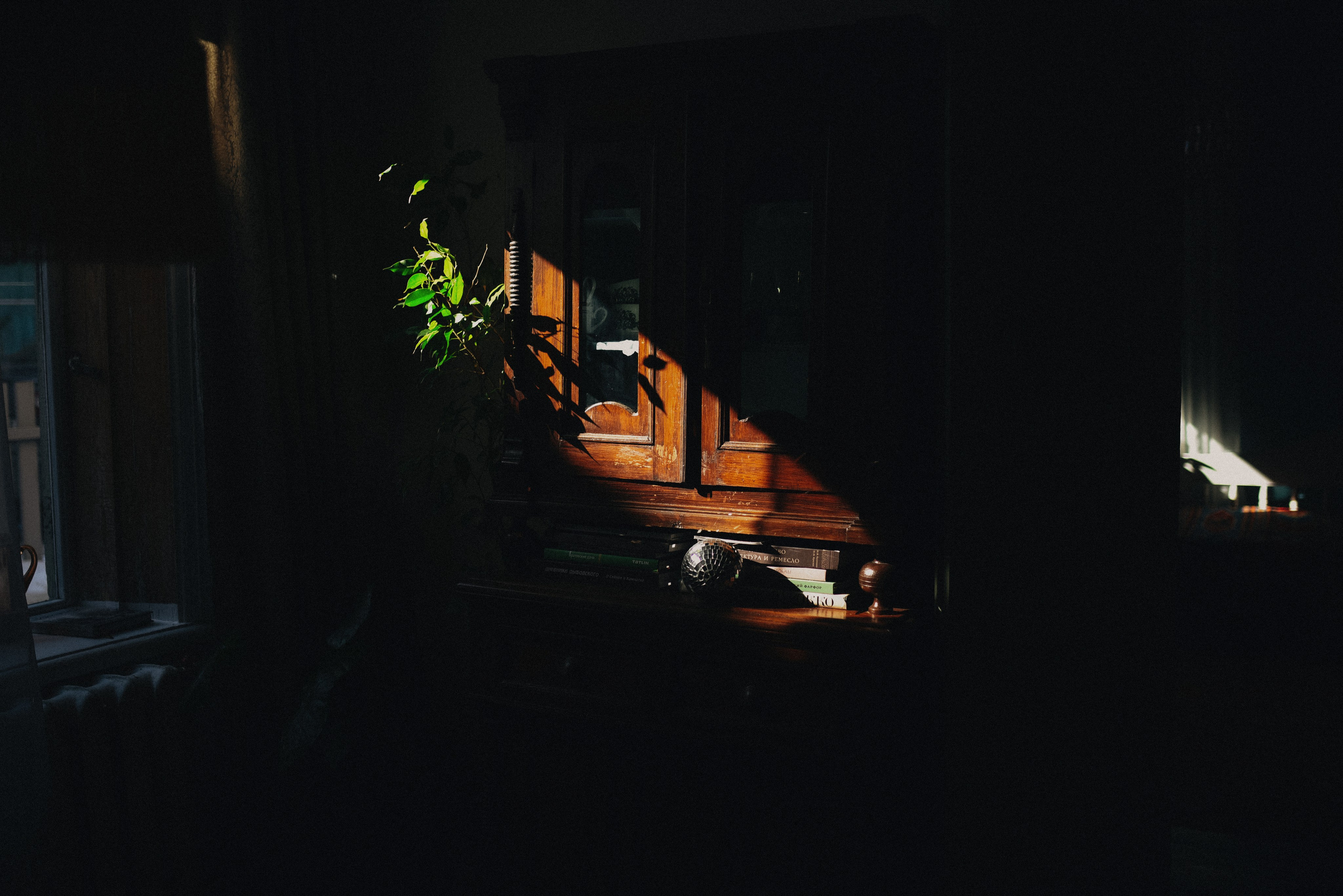 Аня и Игорь. Иркутский фотограф Яна Серебренникова