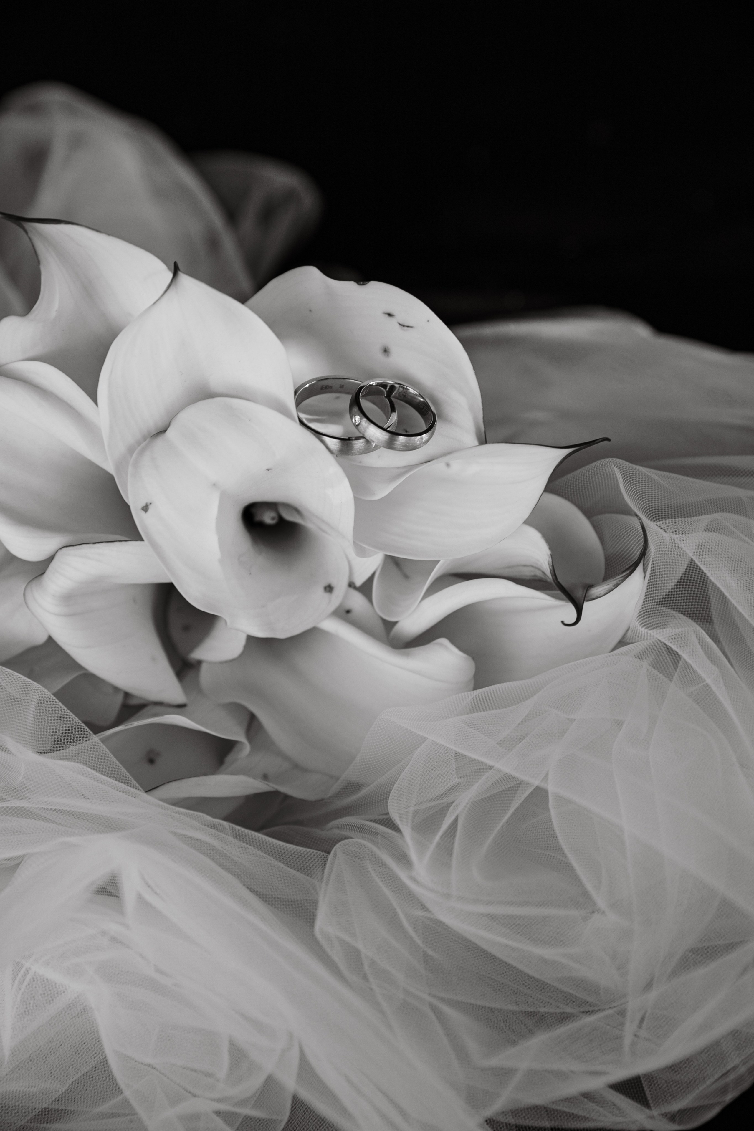 Дмитрий и Анастасия. Фотограф Москва и МО Анастасия Пясковская