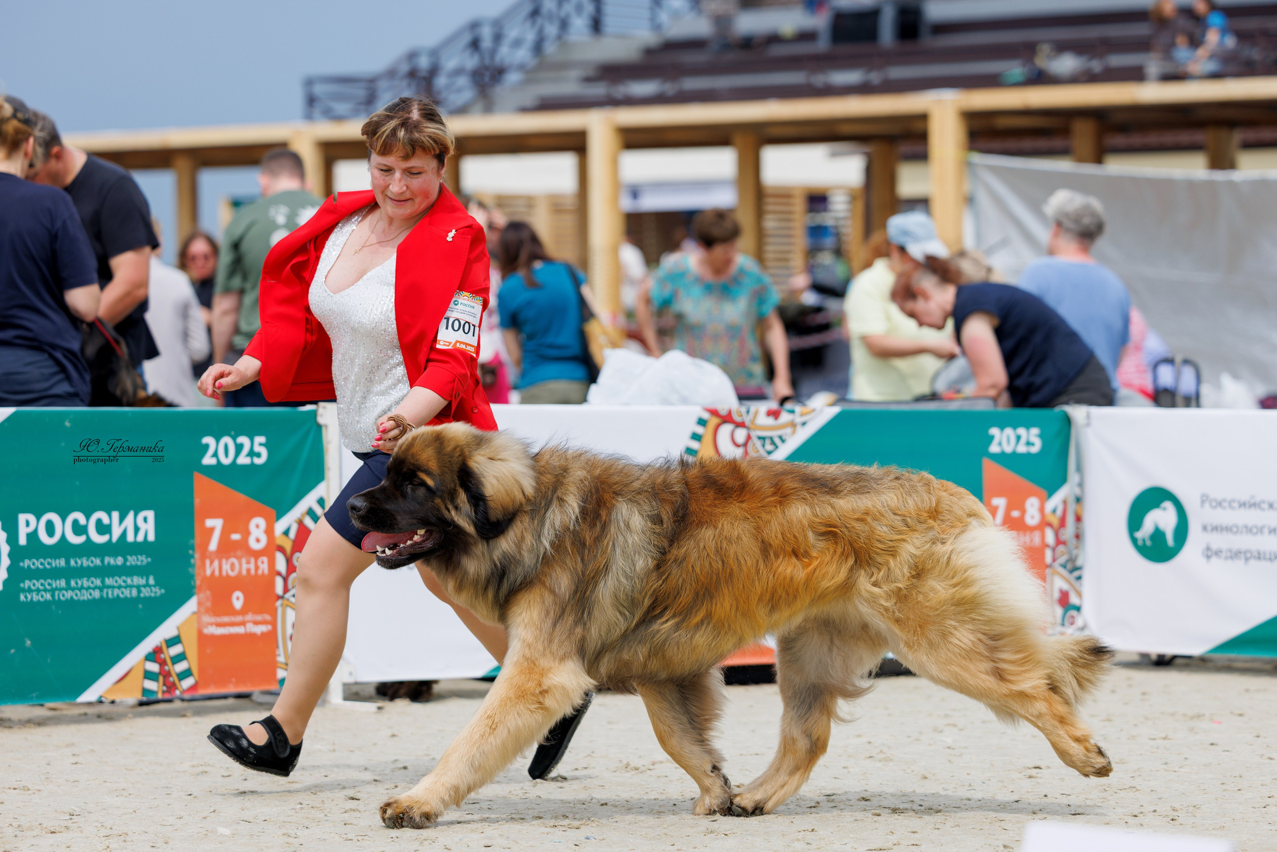 РОССИЯ 7-8.06.2025. Фотограф-анималист Юлия Германика