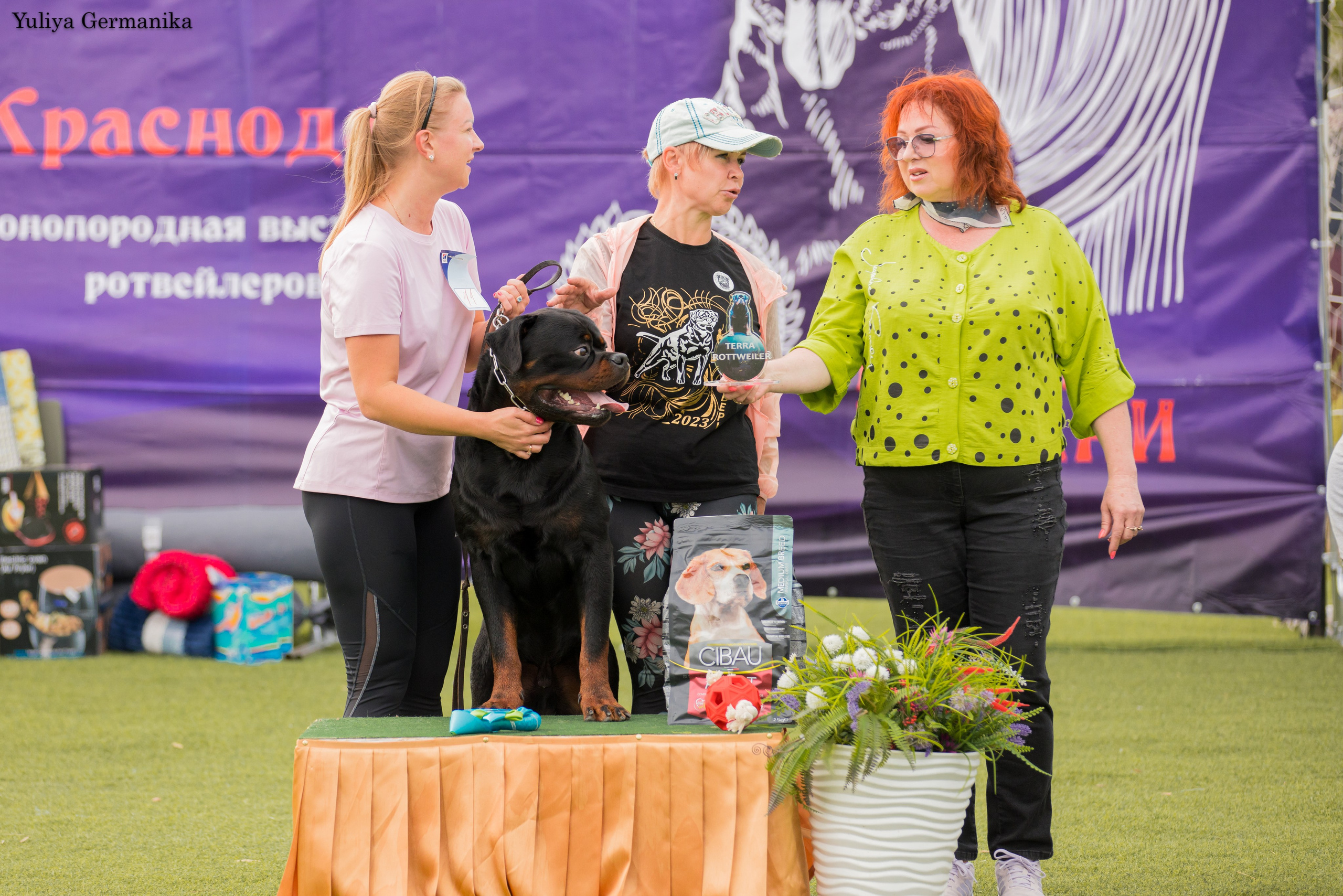 Анапа 16-17.09.2023 моно ротвейлеров. Фотограф-анималист Юлия Германика