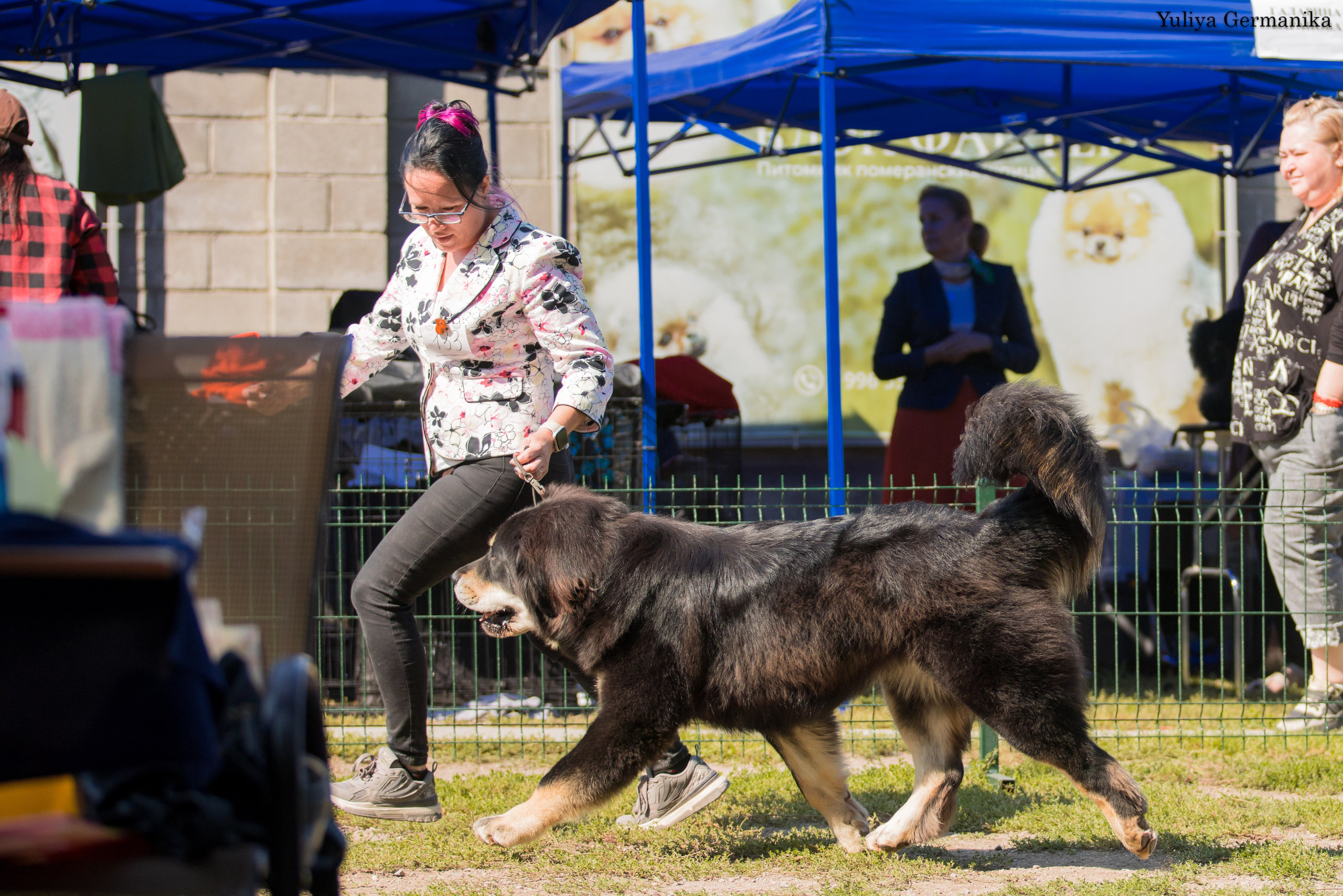 Бишкек 29.09-01.10.2023. Фотограф-анималист Юлия Германика