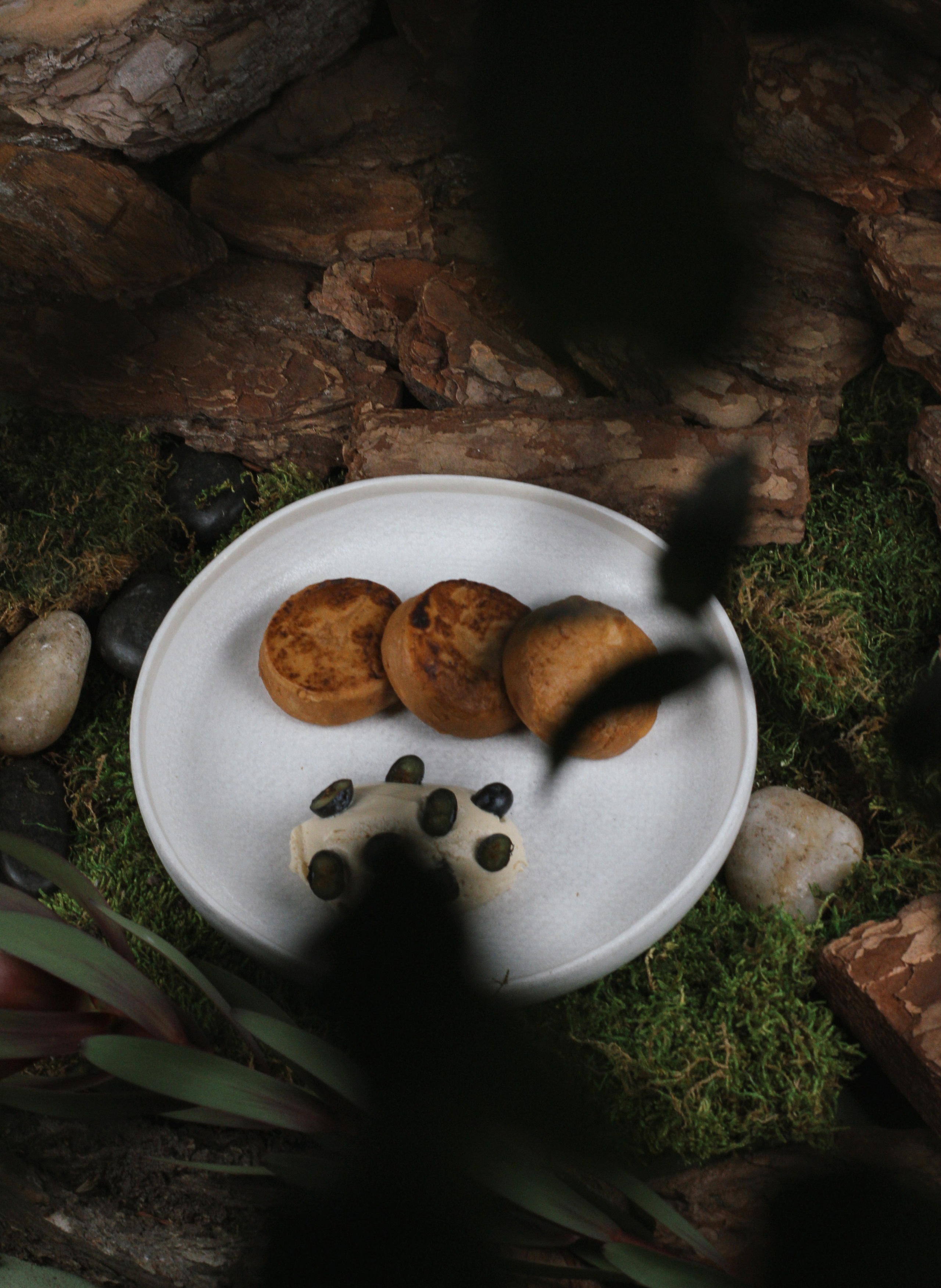 Ресторан Sempre. Galaktionov. Visual artist