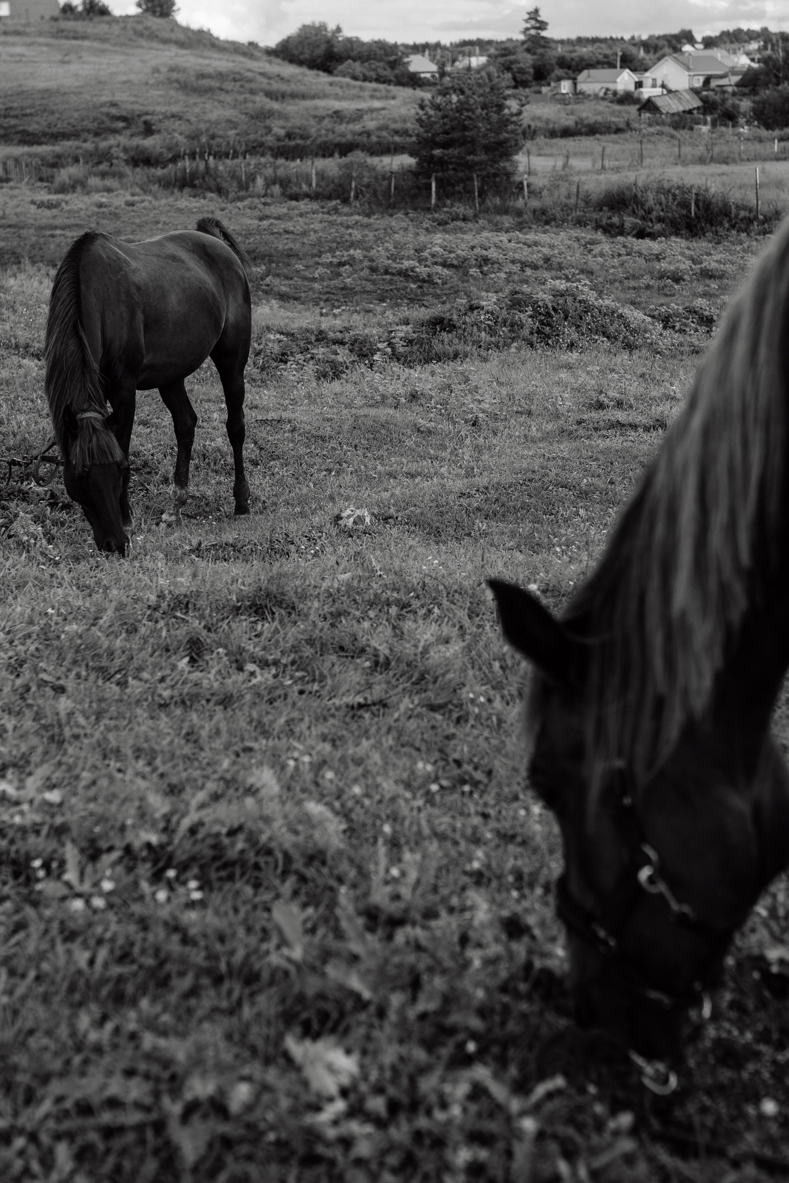 Vlasenko. Свадебный фотограф Тольятти Москва Адамова Виктория