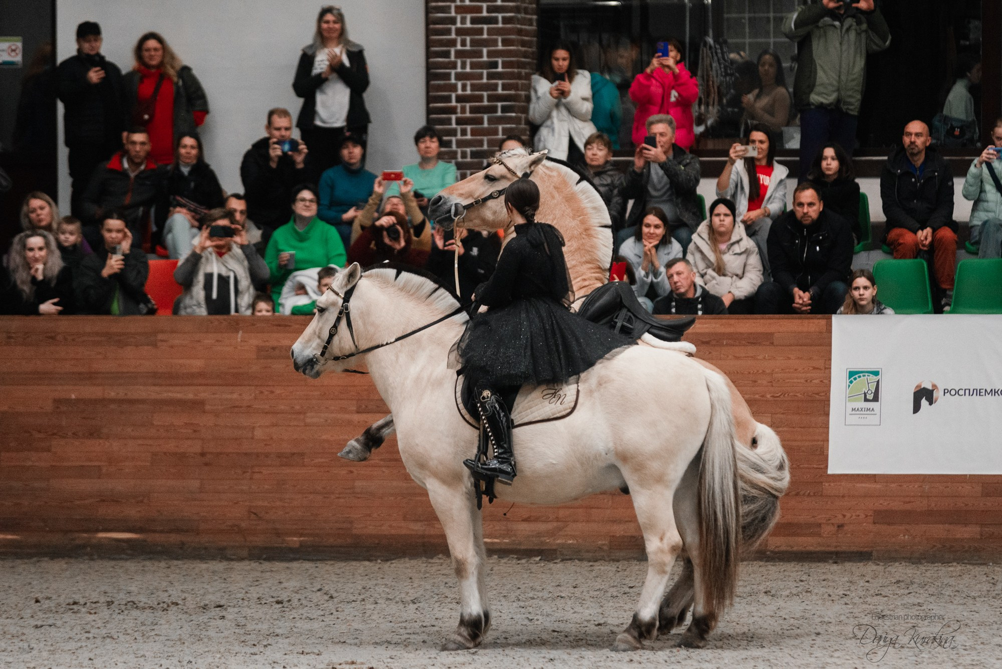 8-я международная выставка Конная Россия. Конный фотограф Куракина Дарья • Фотосессии с лошадьми