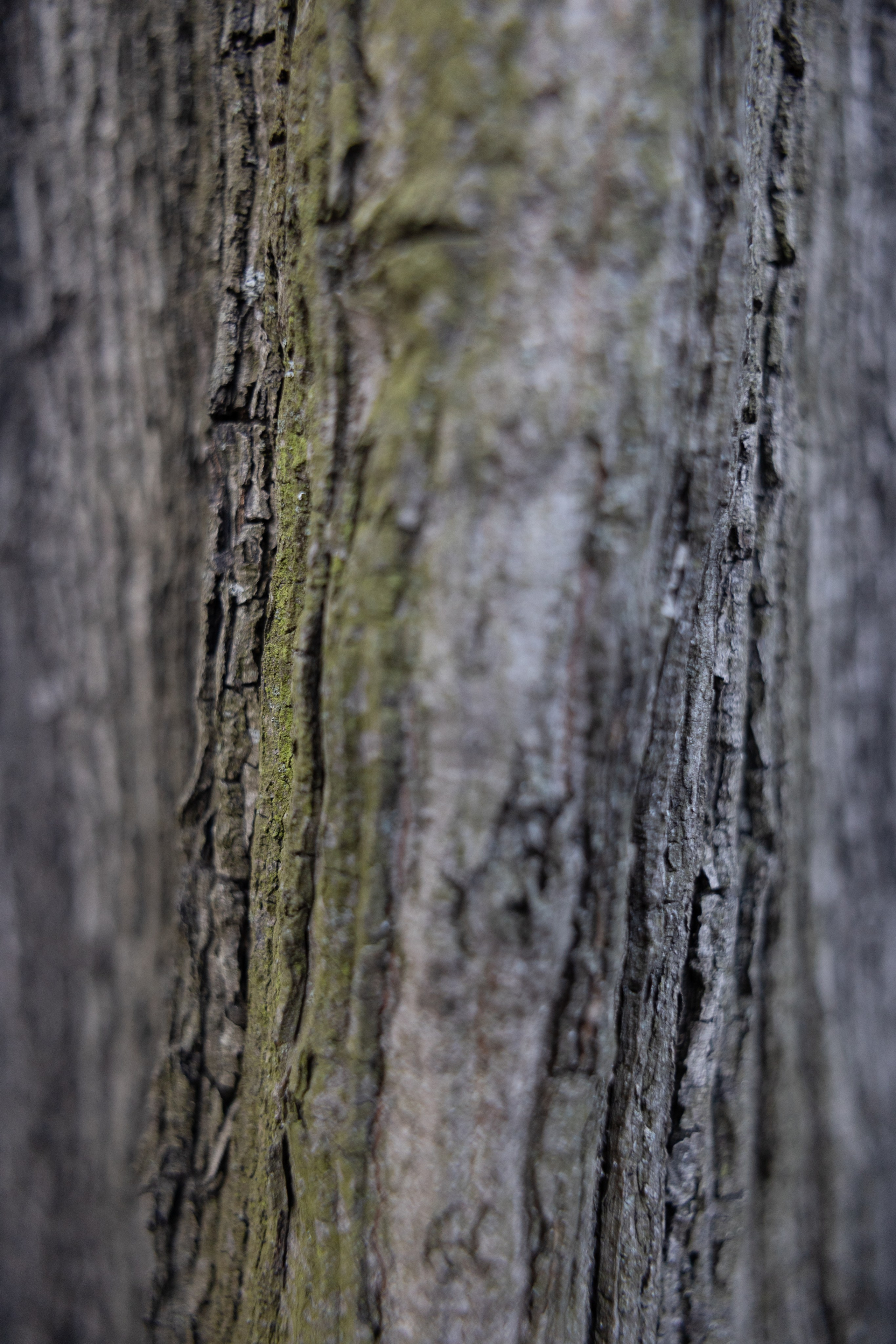 Art prints. Фотограф алина стерхова, алина стерхова фотограф, фотограф москва