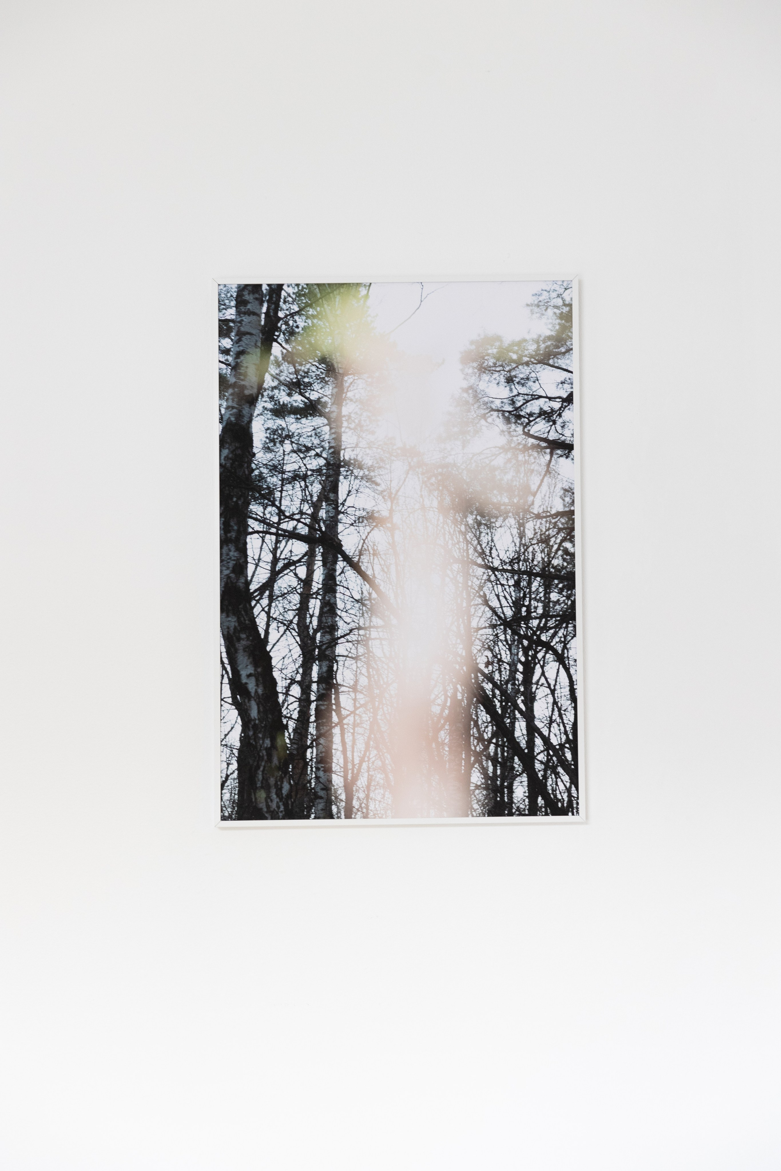 Personal exhibition Interior landscape 2025. Фотограф алина стерхова, алина стерхова фотограф, фотограф москва