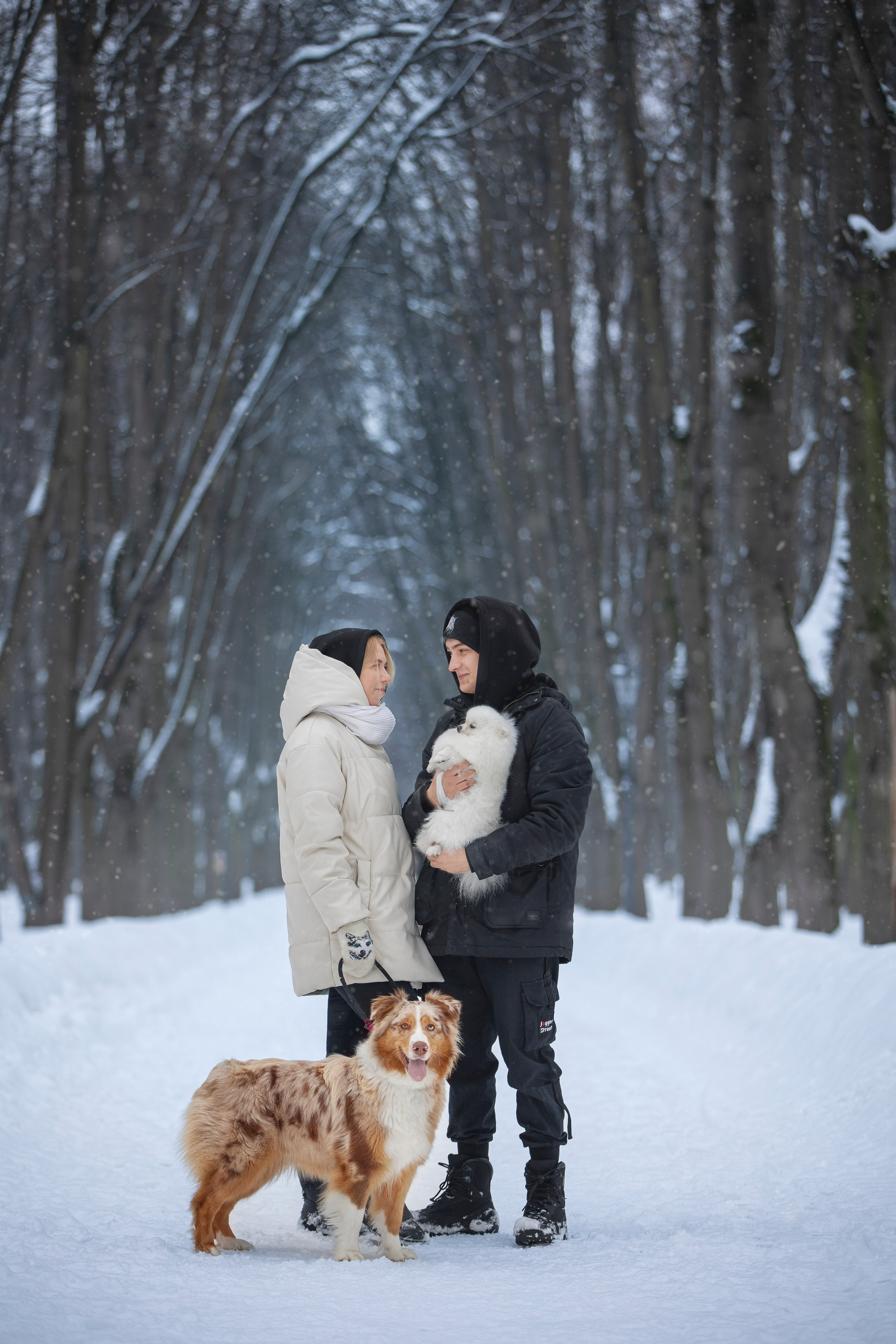 Настя, Игорь, Тесс и Марс. Фотограф анималист в Москве Майорова Евгения