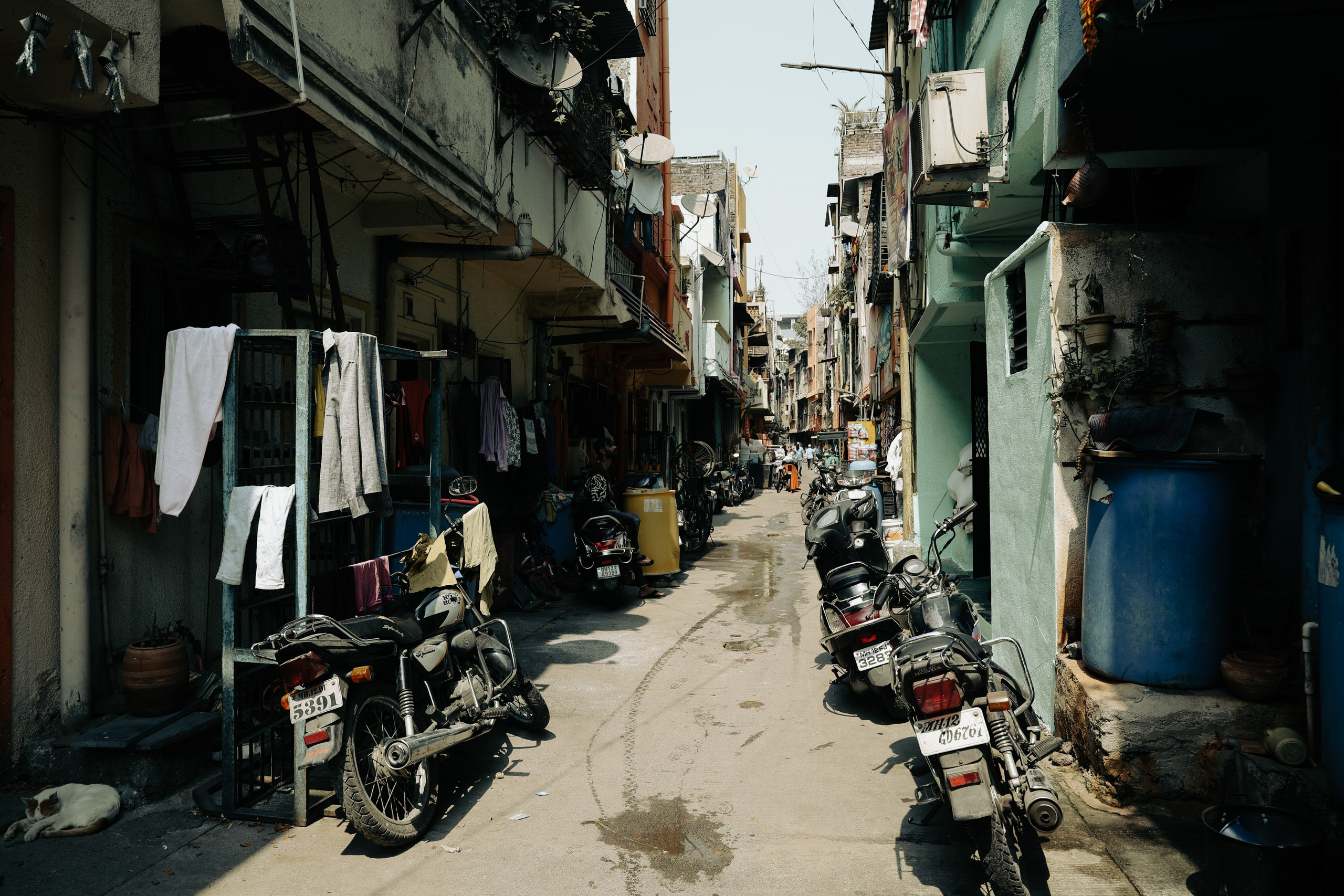 India. Фотограф в Москве