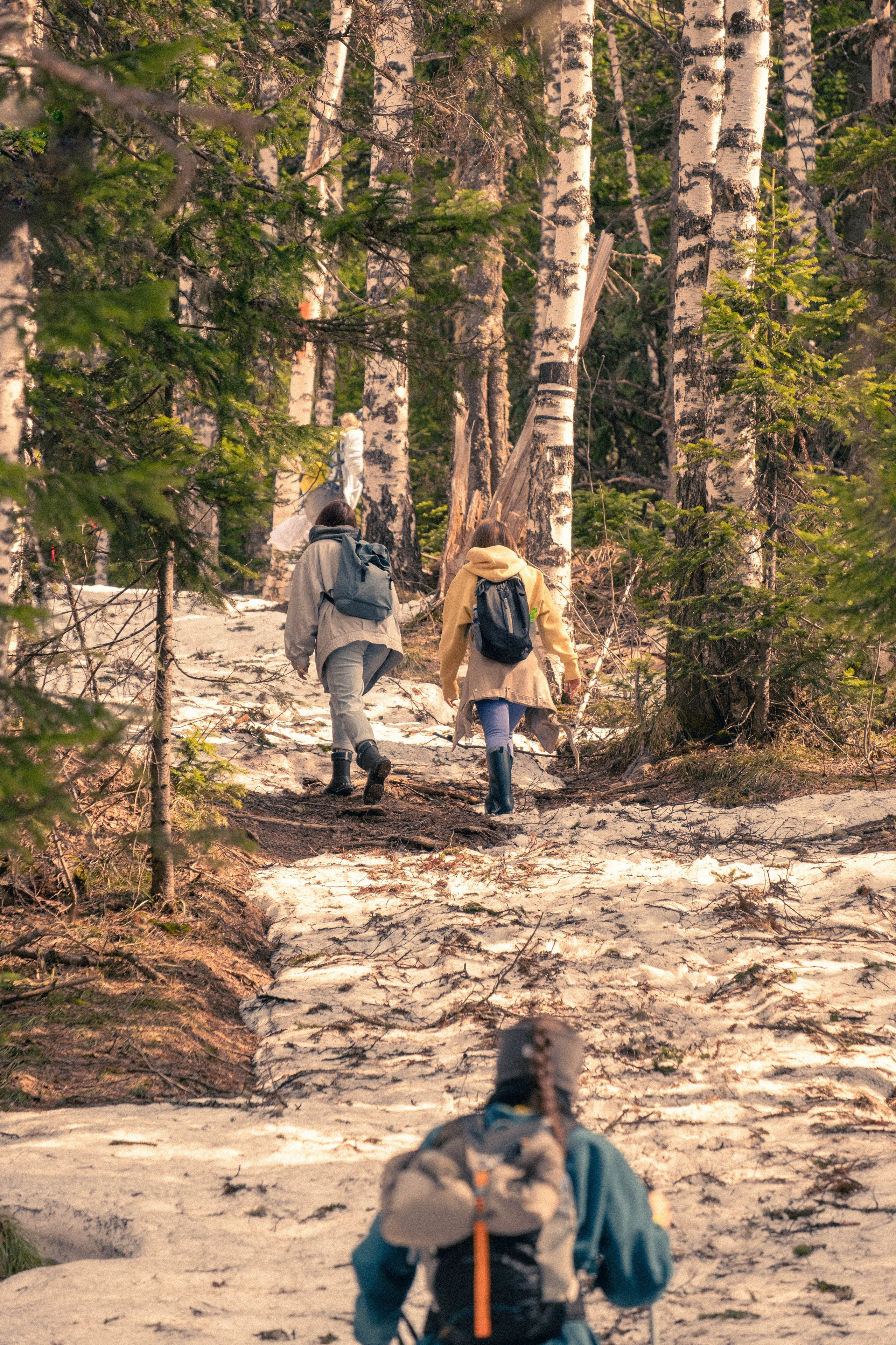 Поход на гору «Малые Сарлыки». Фотограф |Герасимова София