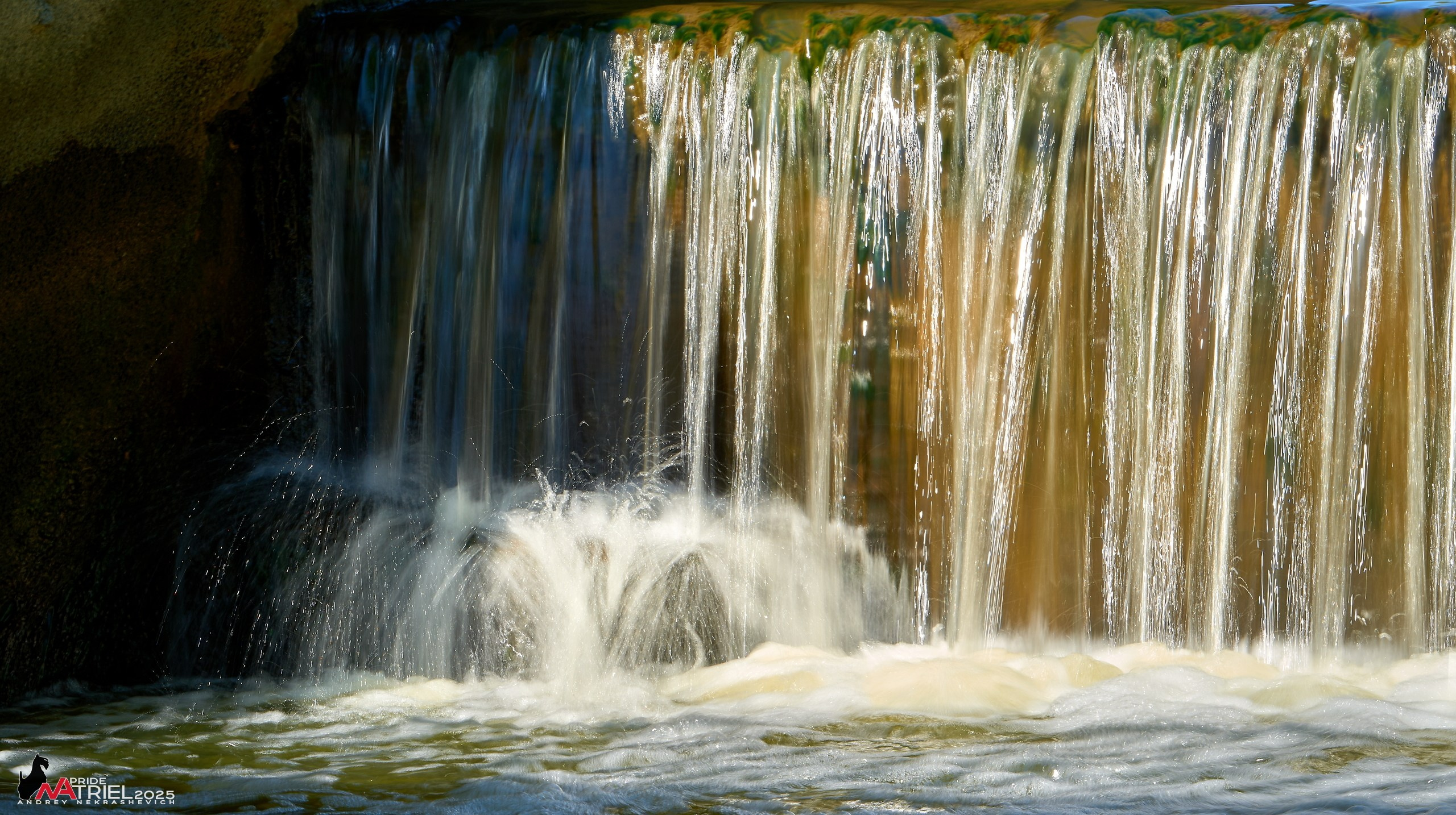 Птички и цветочки