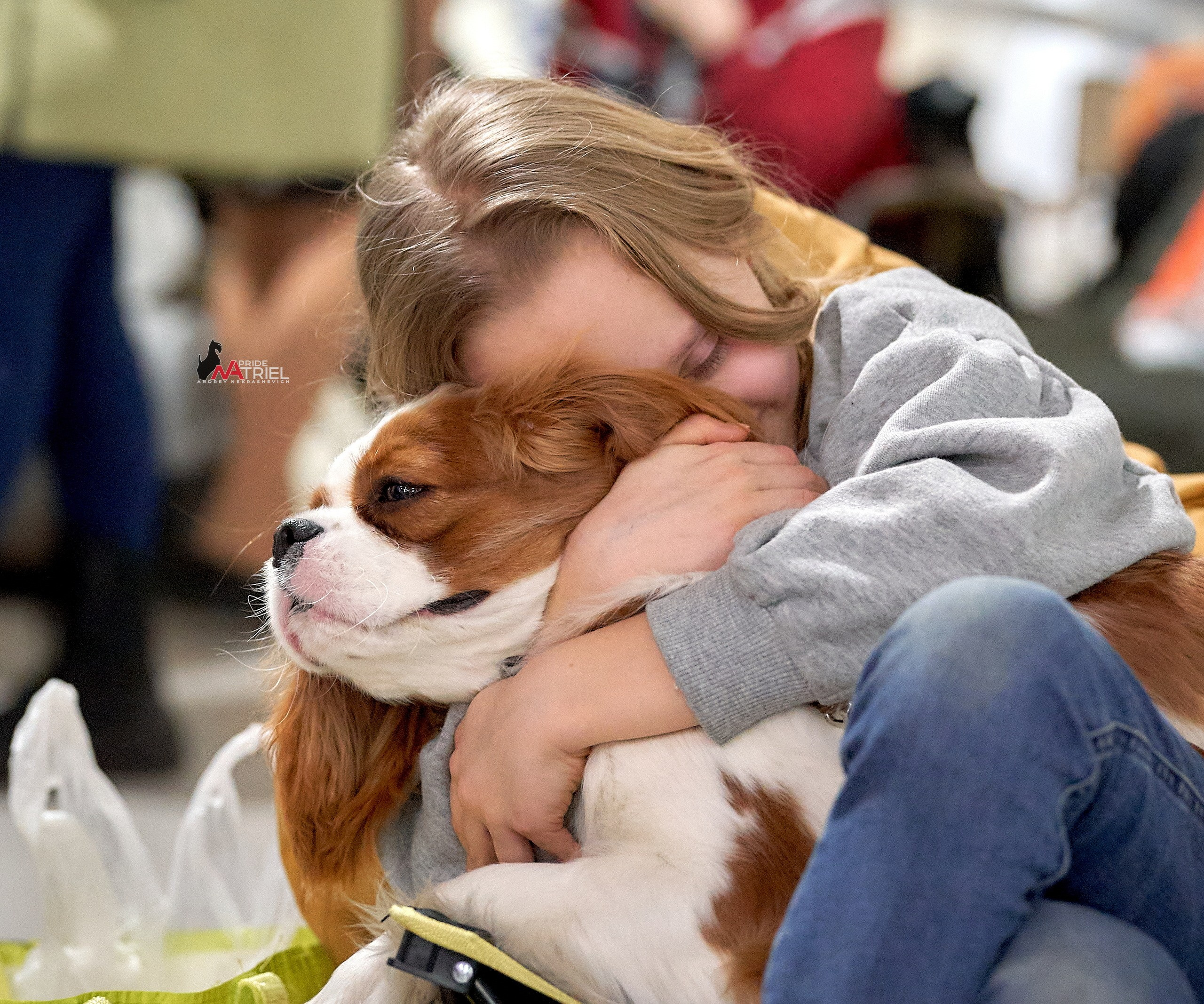 Собаки и Люди — галерея NATRIEL
