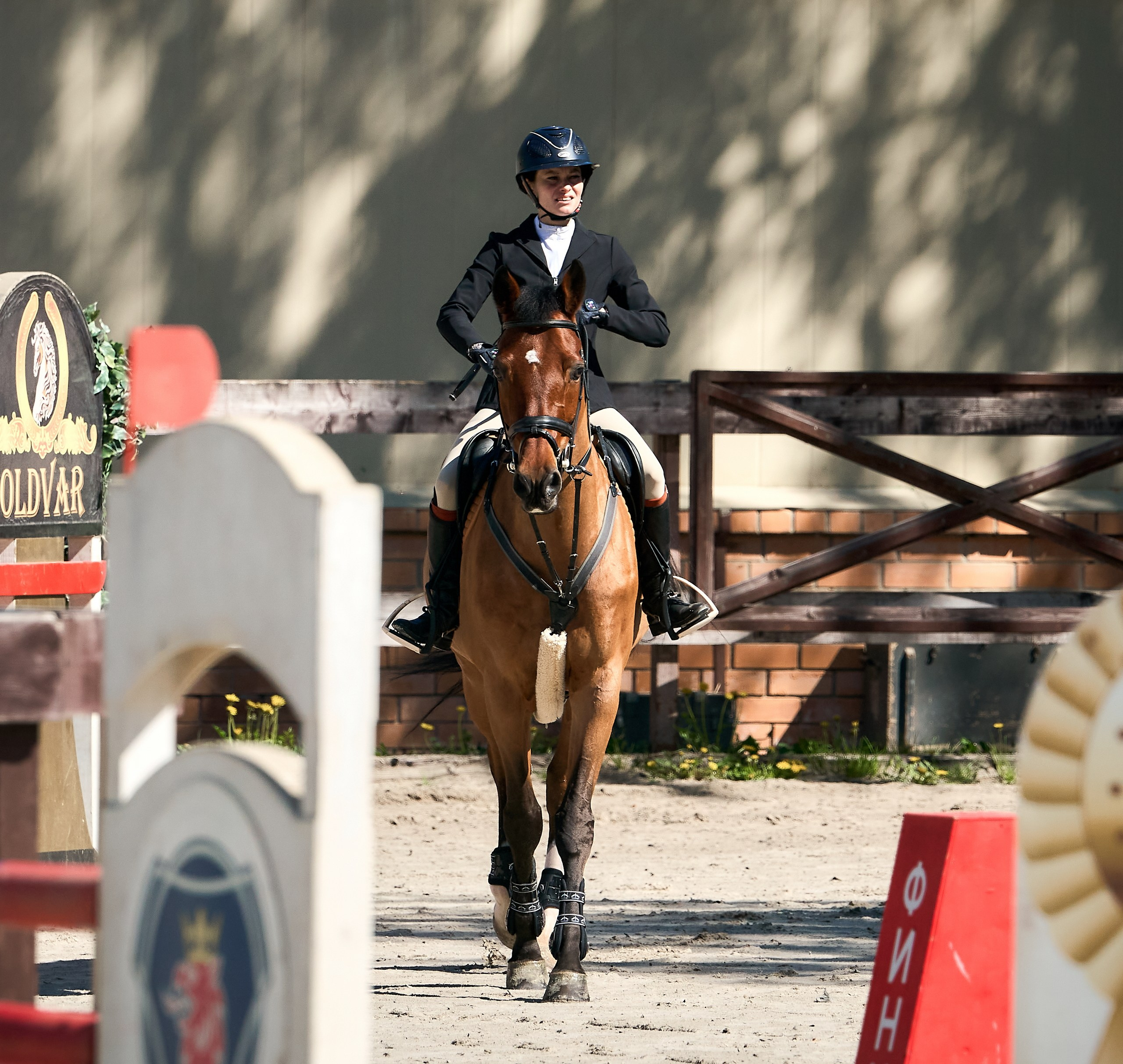 Соревнования на лошадях — галерея NATRIEL